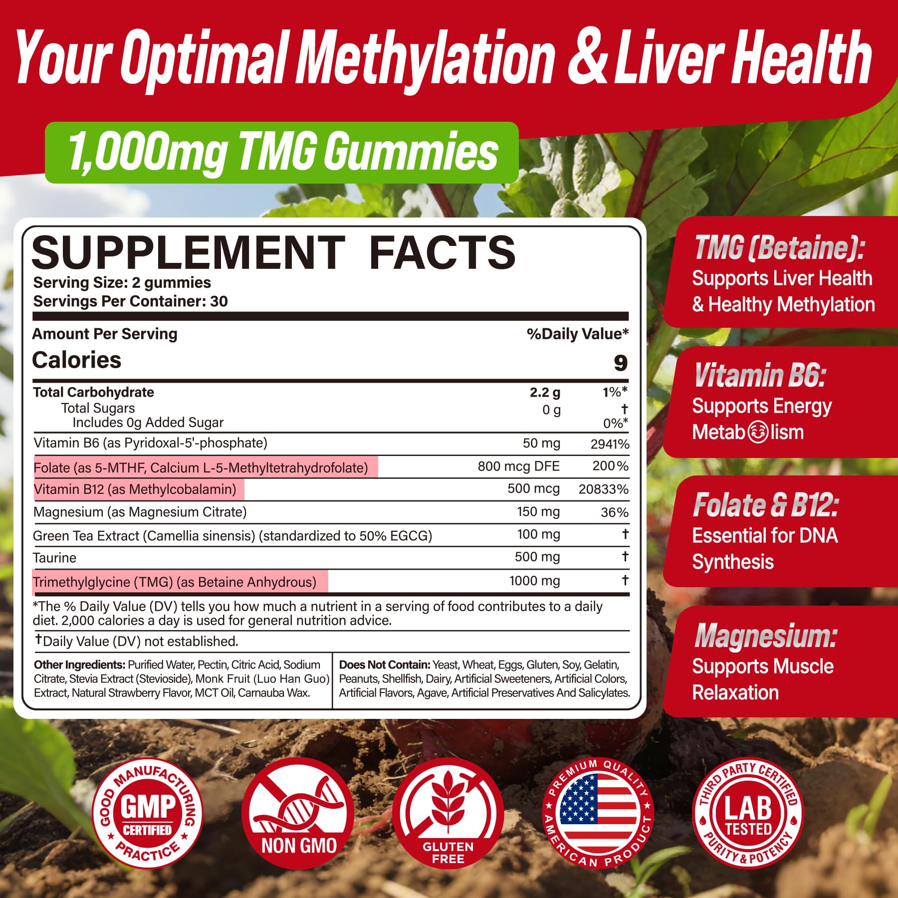 2Pack TMG Gummies 1000mg Betaine Anhydrous + Methylated Multivitamin & B Complex Methylated(Methylfolate B12 B6), Magnesium, Taurine - Essential Trimethylglycine for Homocysteine Levels, Brain, Energy Nextdia buy supplements canada