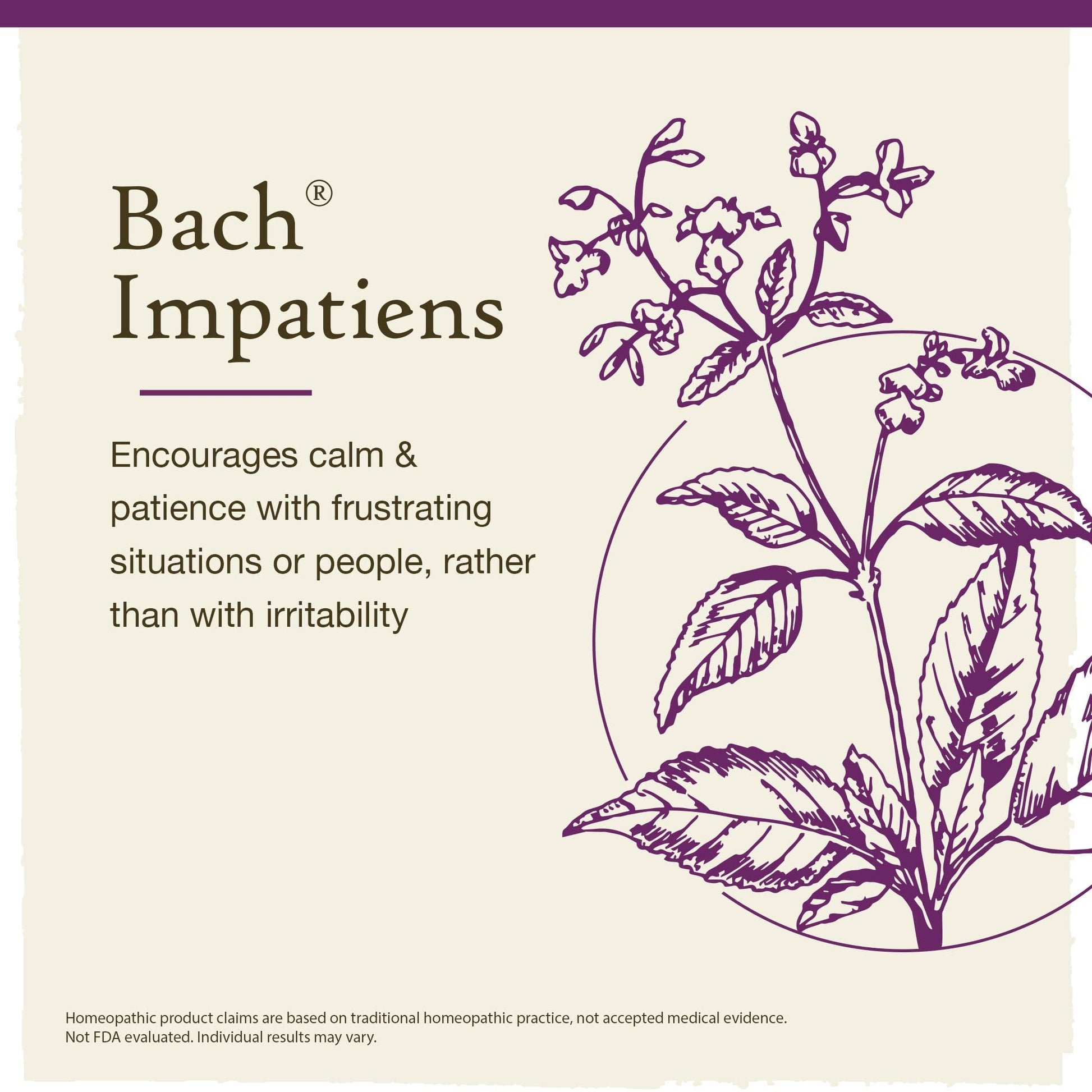 Bach Original Flower Remedies, Impatiens for Patience (Non-Alcohol Formula), Natural Homeopathic Bach buy supplements canada