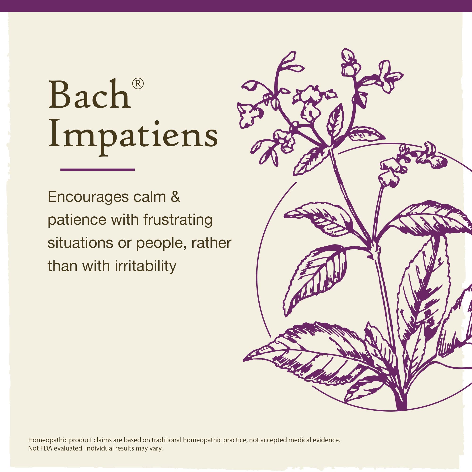 Bach Original Flower Remedies, Impatiens for Patience (Non-Alcohol Formula), Natural Homeopathic Bach buy supplements canada