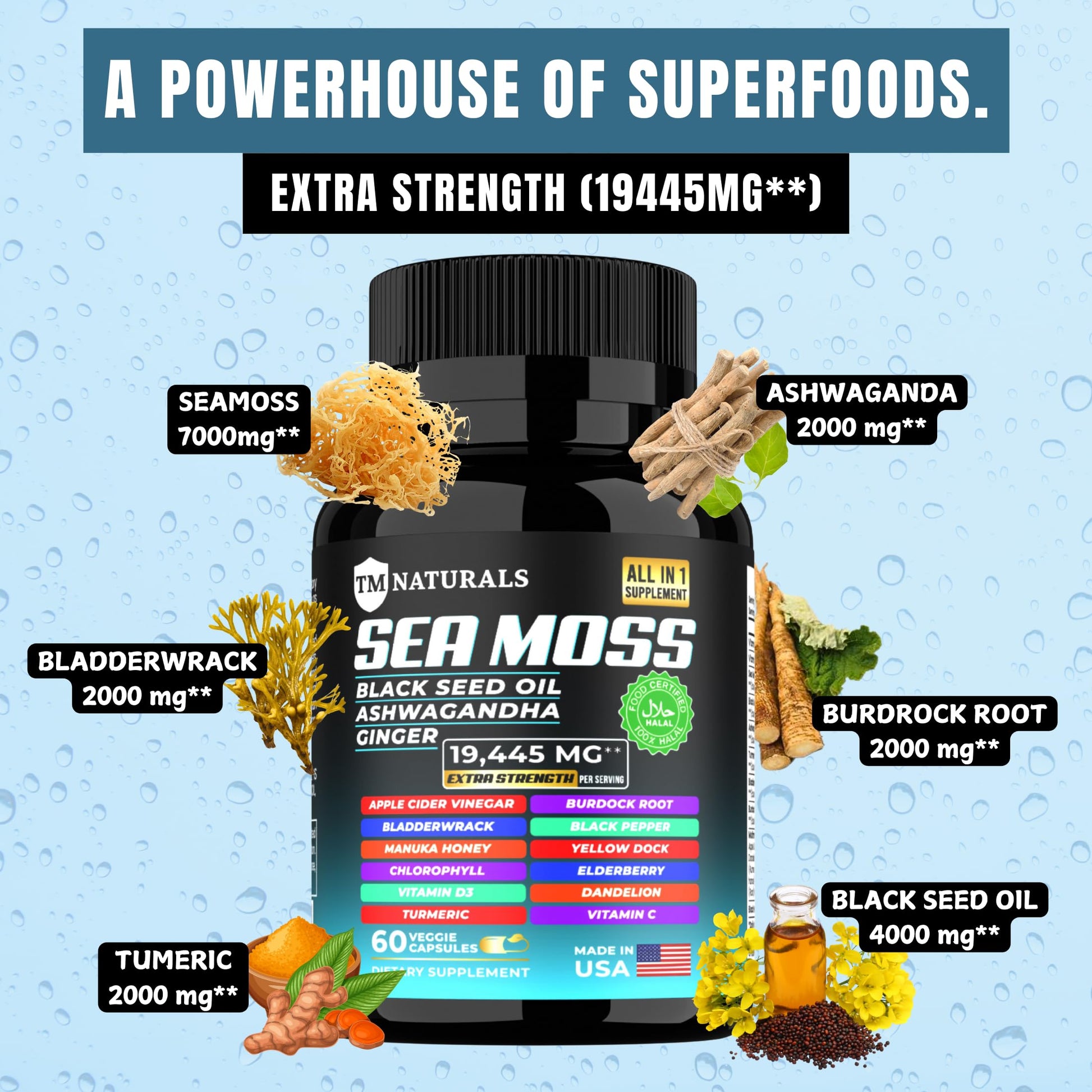 TM NATURALS Sea Moss with Black Seed Oil, Vitamin C, Ashwagandha and Turmeric for Immune Support & Energy - 60 Vegan Capsules + Free Pill Box TM NATURALS buy supplements canada