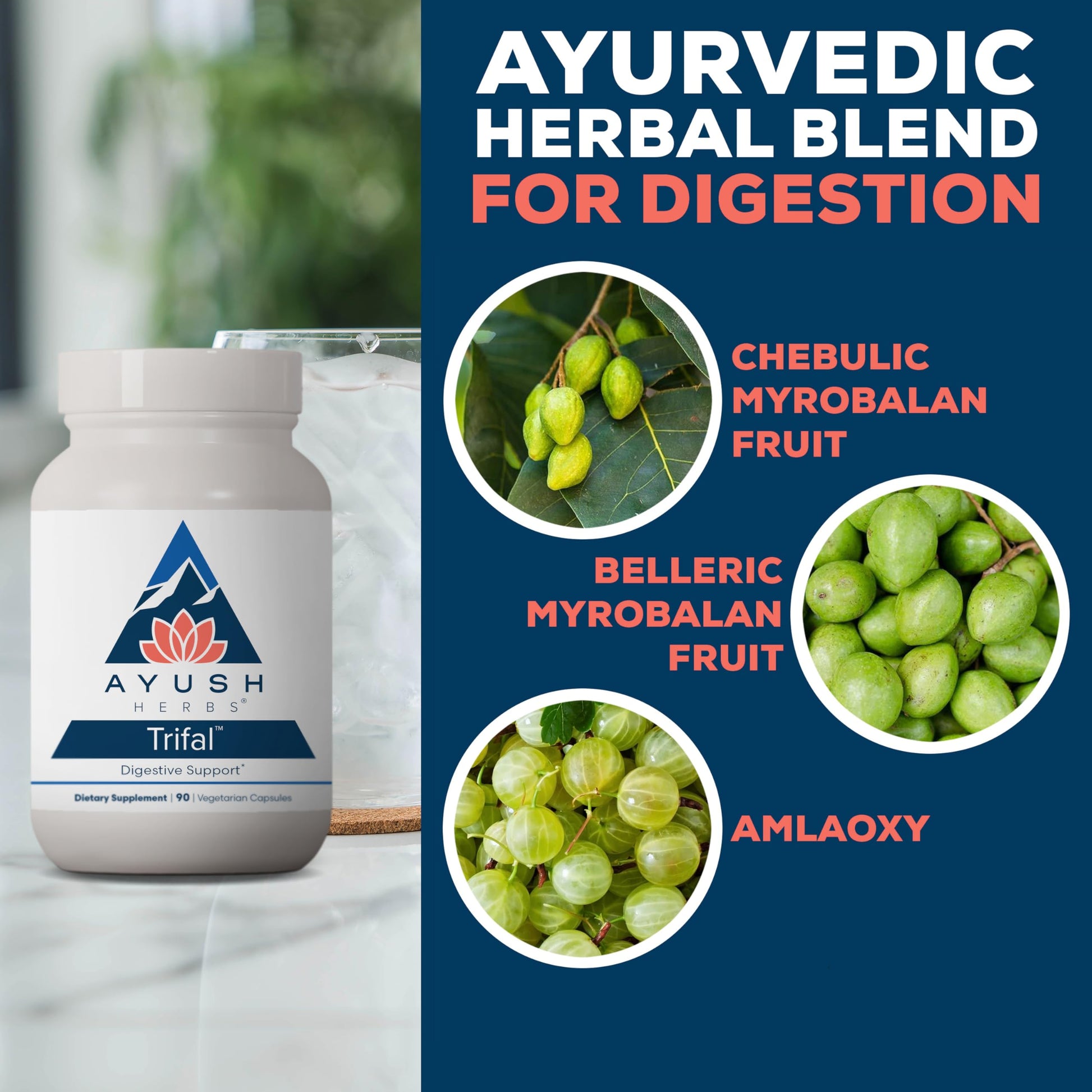 Ayush Herbs Trifal Digestive Support with Amla - Triphala Supplement for Women & Men, Promotes Balanced Digestion, Antioxidant Rich, Made with Organic Ingredients - 90 Vegetarian Capsules (1 Count) Ayush Herbs buy supplements canada