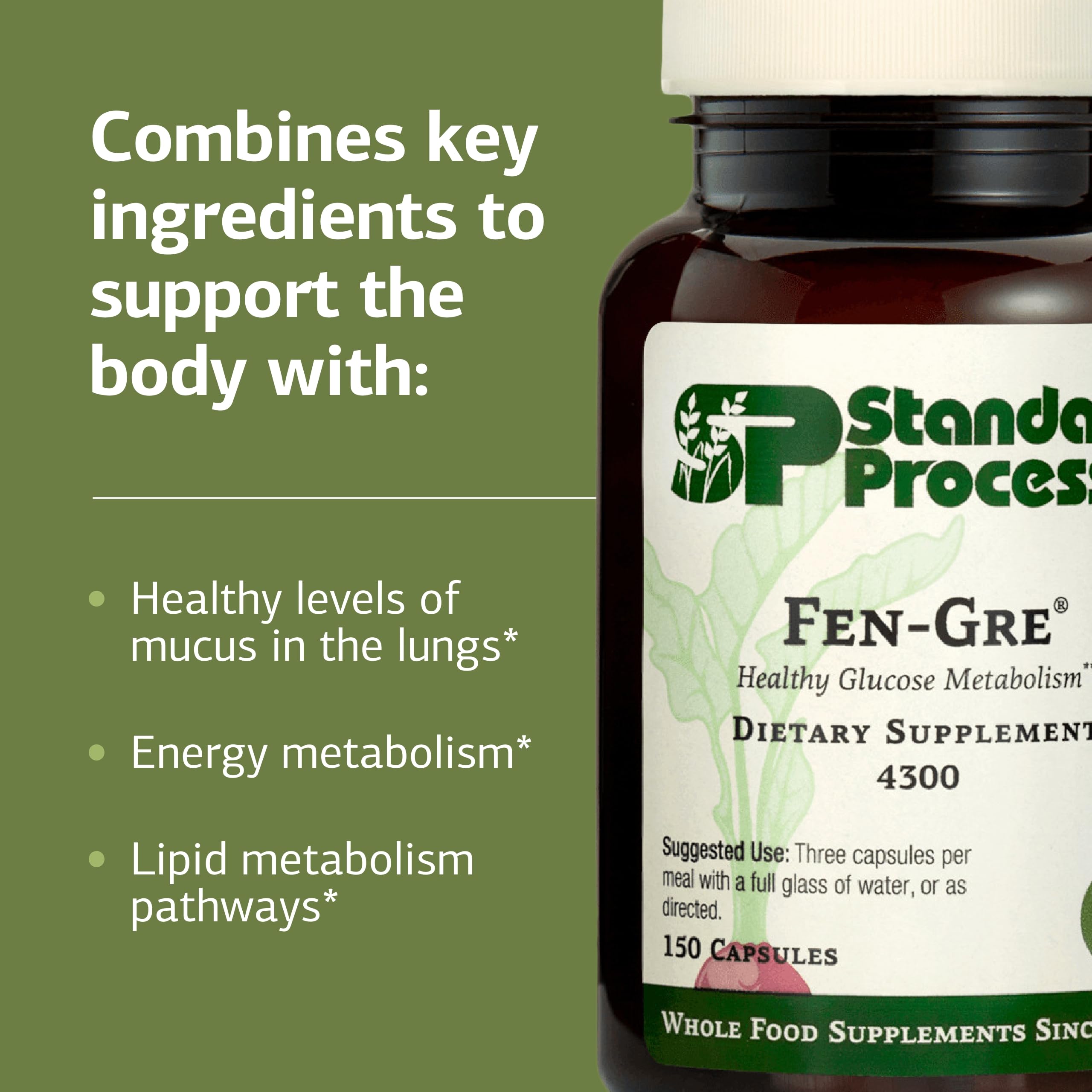 Standard Process Fen-Gre - Supports Respiratory Support & Healthy Metabolism - Aids Healthy Levels of Mucus & Phlegm - Supports Lung Health & Bronchial Tubes - Gluten-Free & Non-Dairy - 150 Capsules Standard Process Inc. buy supplements canada