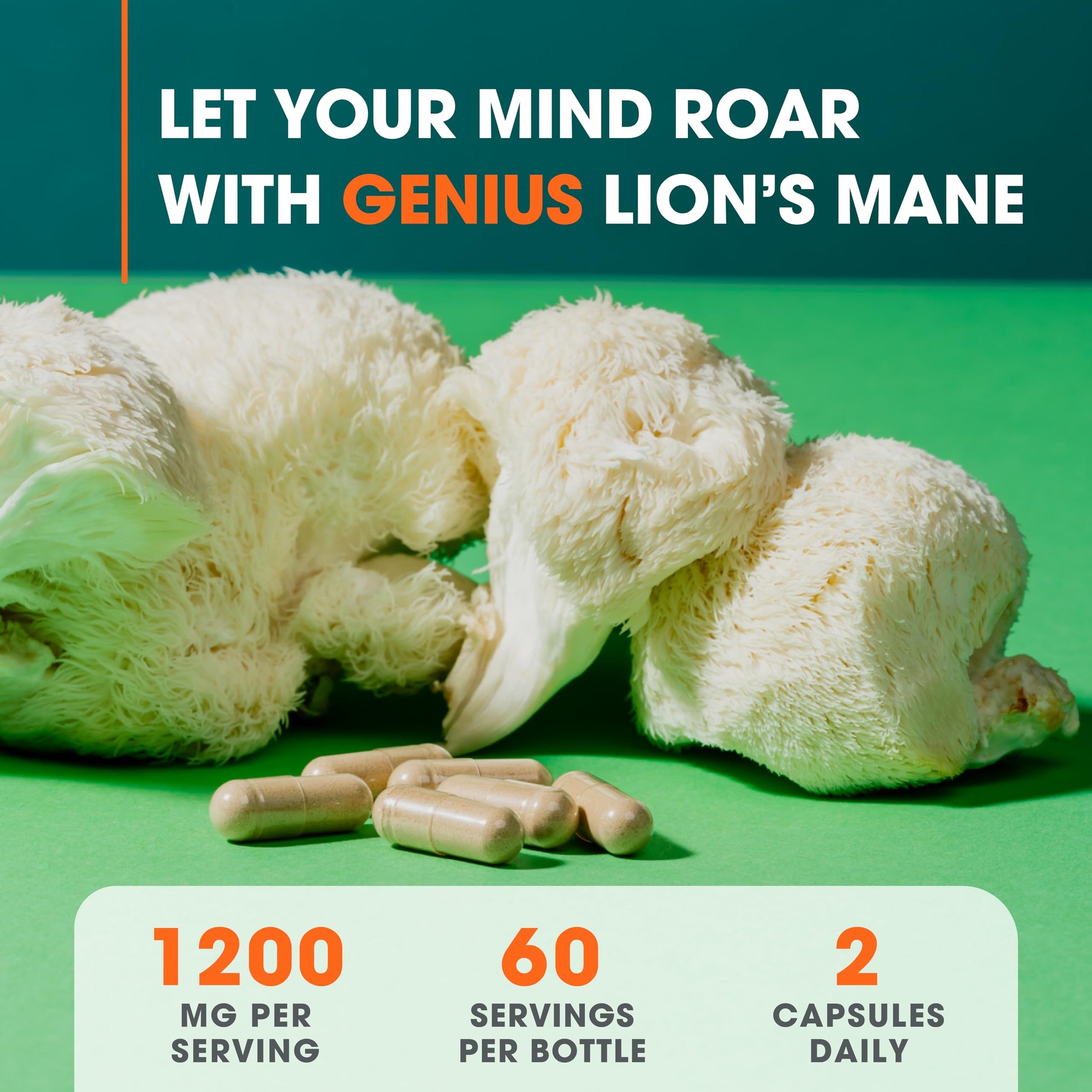 Genius Lions Mane Supplement Capsules - Organic Nootropic Supplement, 1200mg per The Genius Brand buy supplements canada