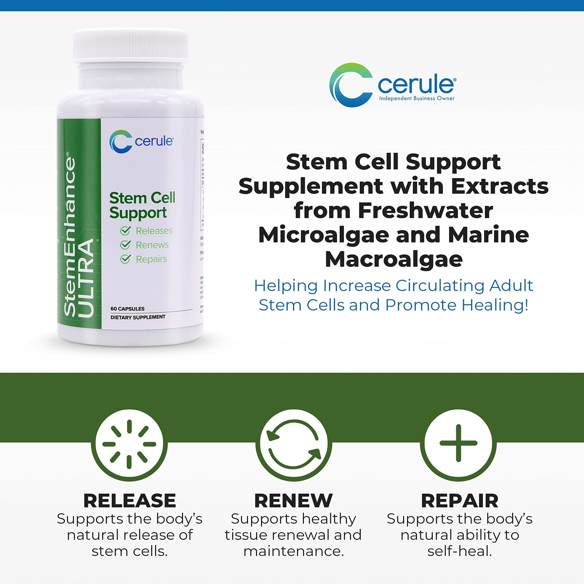 Cerule StemEnhance Ultra Natural Stem Cell Support Supplement – Freshwater Microalgae and Marine Macroalgae Extracts for Cellular Renewal, Immune Function, Energy, and Tissue Recovery – 60 Capsules Cerule buy supplements canada