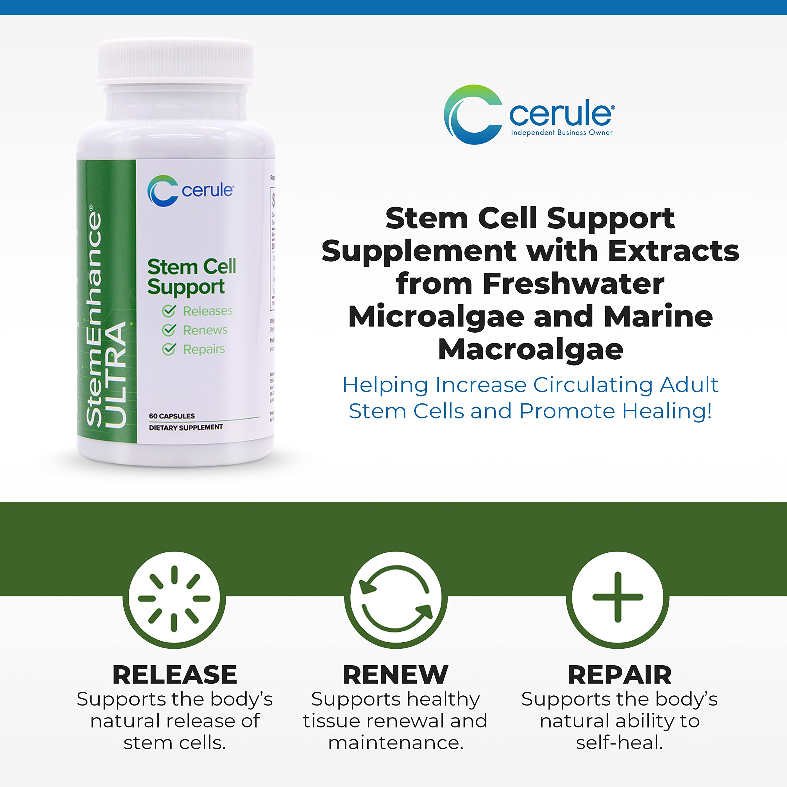 Cerule StemEnhance Ultra Natural Stem Cell Support Supplement – Freshwater Microalgae and Marine Macroalgae Extracts for Cellular Renewal, Immune Function, Energy, and Tissue Recovery – 60 Capsules Cerule buy supplements canada
