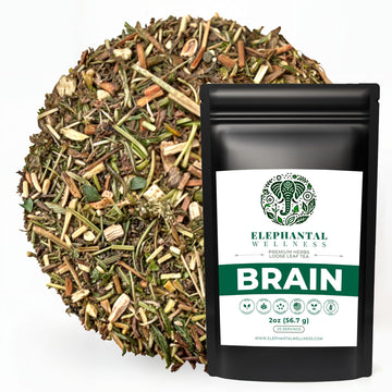 Elephantal Wellness Premium Brain Herbal Tea | Nootropic Focus & Mental Clarity with Ginkgo, Bacopa, Gotu Kola & Rosemary | Non-GMO, Caffeine-Free Coffee Alternative, Handmade Loose Leaf Blend, 2oz Loose Leaf, 20 Servings Elephantal Wellness buy supplements canada