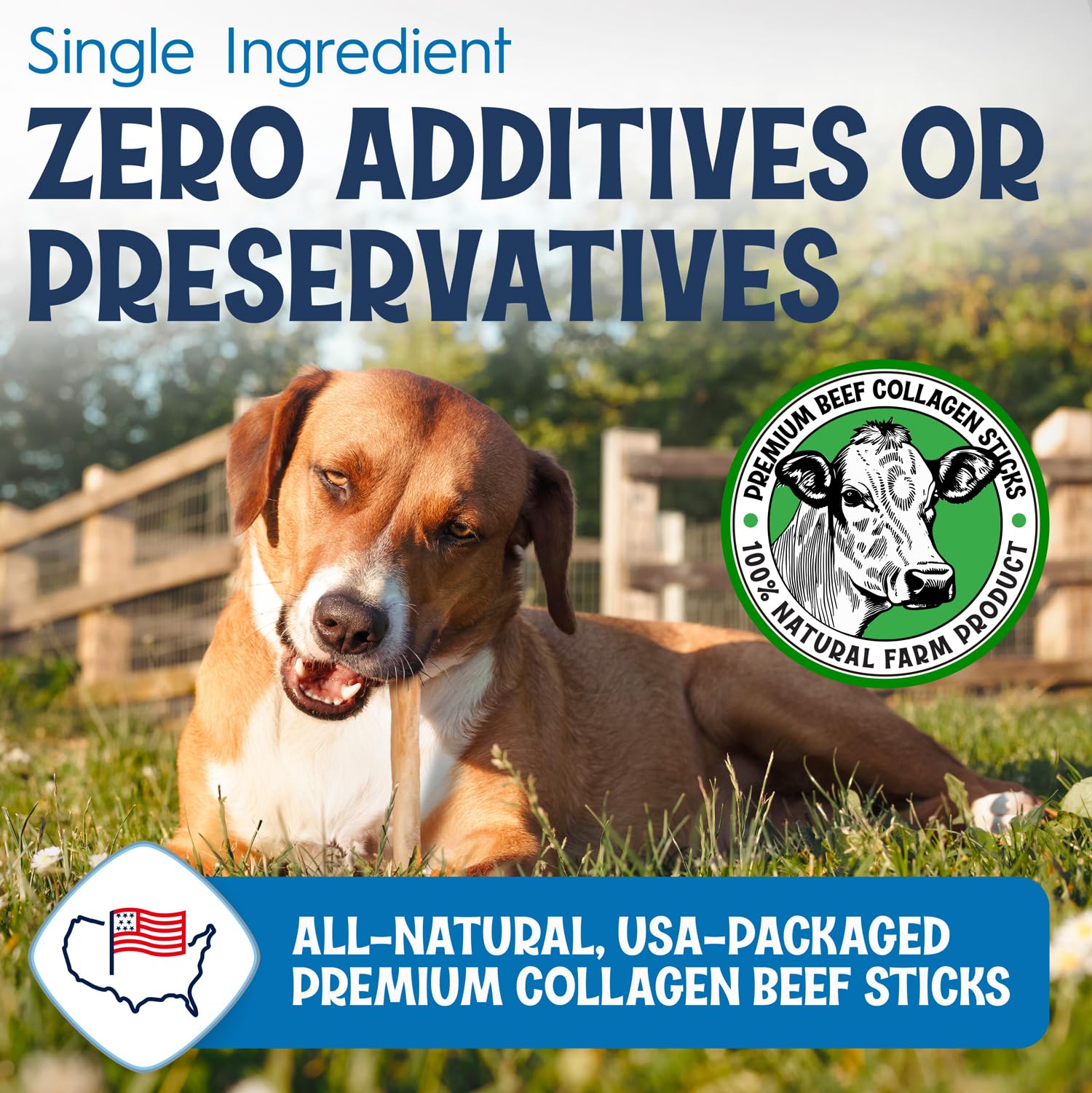 FETCHERONI 6" Collagen Sticks for Dogs – Low Odor Long-Lasting Bully Stick & Rawhide Alternative, Single Ingredient Beef Bone, High Protein Dental Treat, Vet Approved, Improves Joint Health – 20 Pack FETCHERONI buy supplements canada