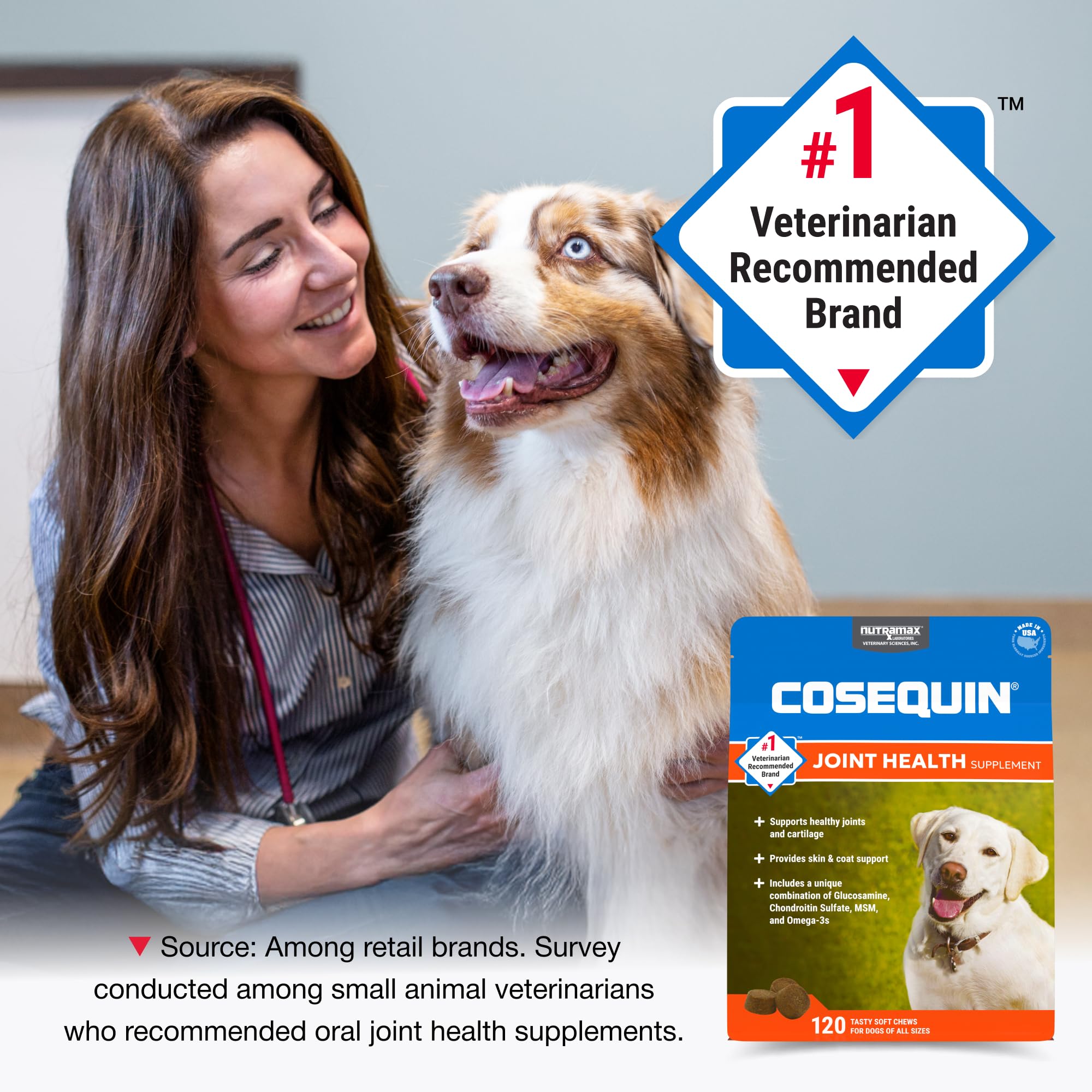 Nutramax Cosequin for Dogs Joint Health Supplement, Contains Glucosamine, Plus Chondroitin, MSM and Omega-3s, Supports Joint and Skin and Coat Health, Soft Chews, 120 Count Nutramax Laboratories buy supplements canada