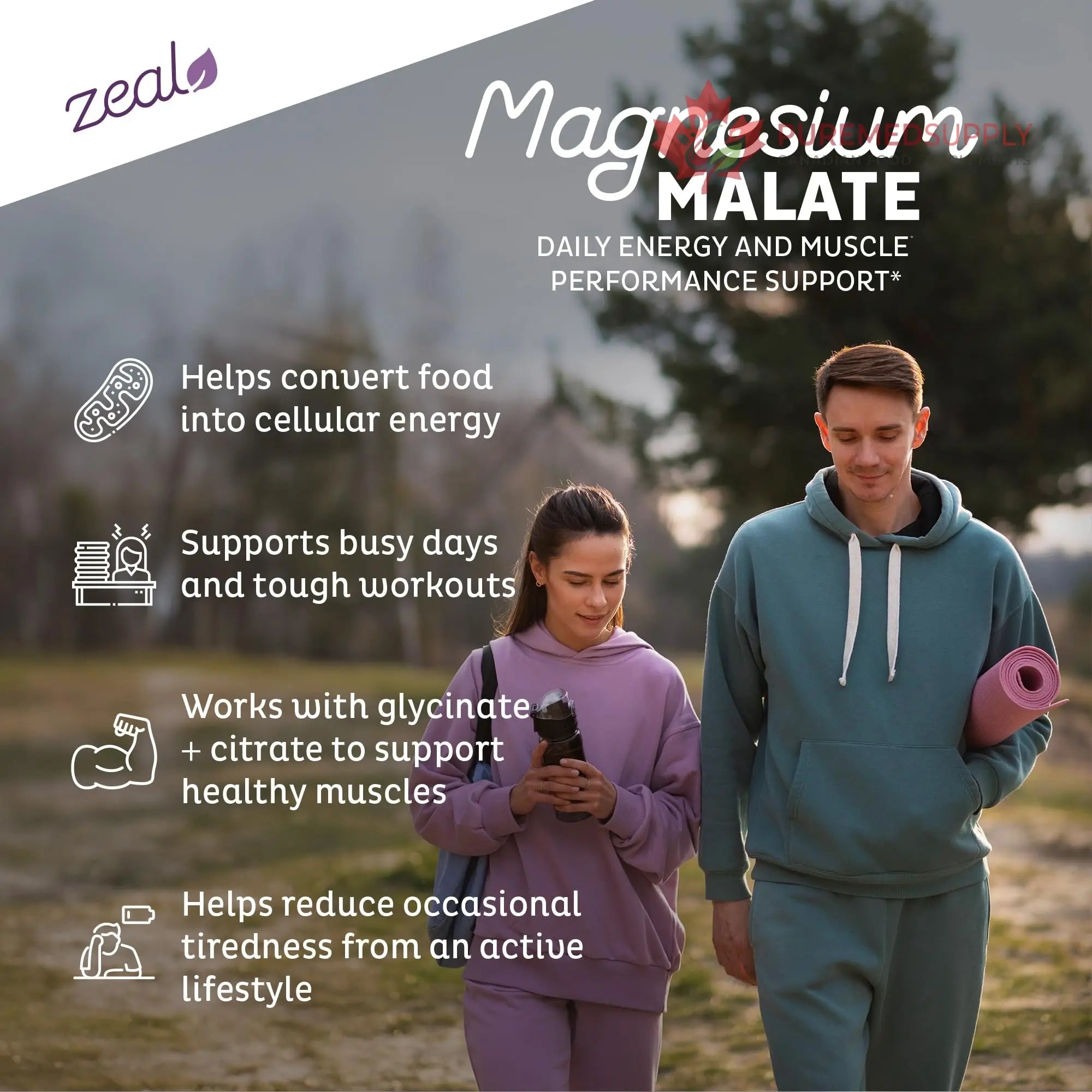 Zeal Naturals Triple Magnesium Complex Supplement - Glycinate, Malate, Citrate | 400mg, 180 Capsules | High Absorption Chelated Magnesium for Sleep, Mood, Muscle Recovery, Relaxation Zeal Naturals buy supplements canada
