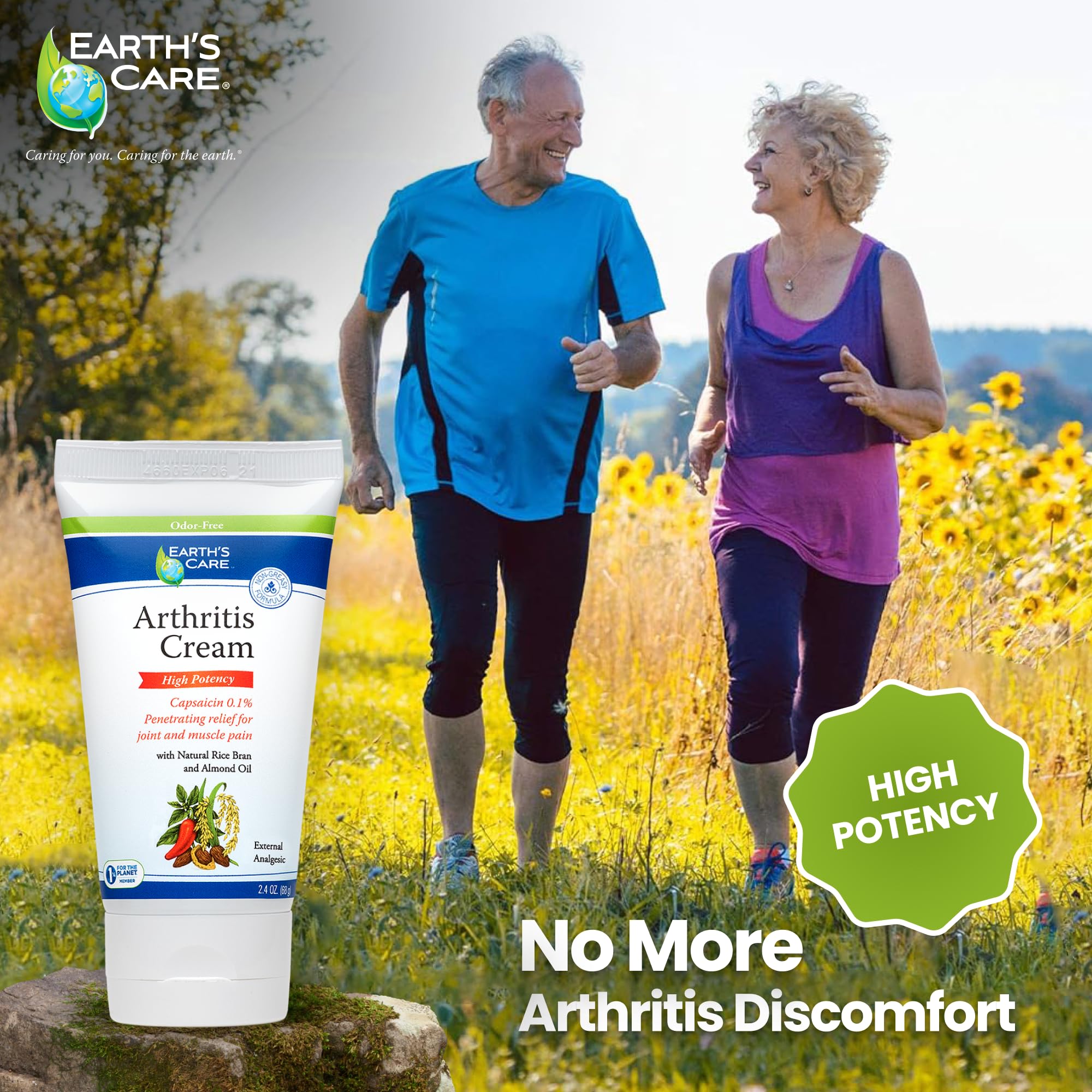 Earth's Care Arthritis Cream - Joint Cream with Natural Capsaicin - Topical Analgesic 2.4 OZ (Pack of 2) Earth's Care buy supplements canada