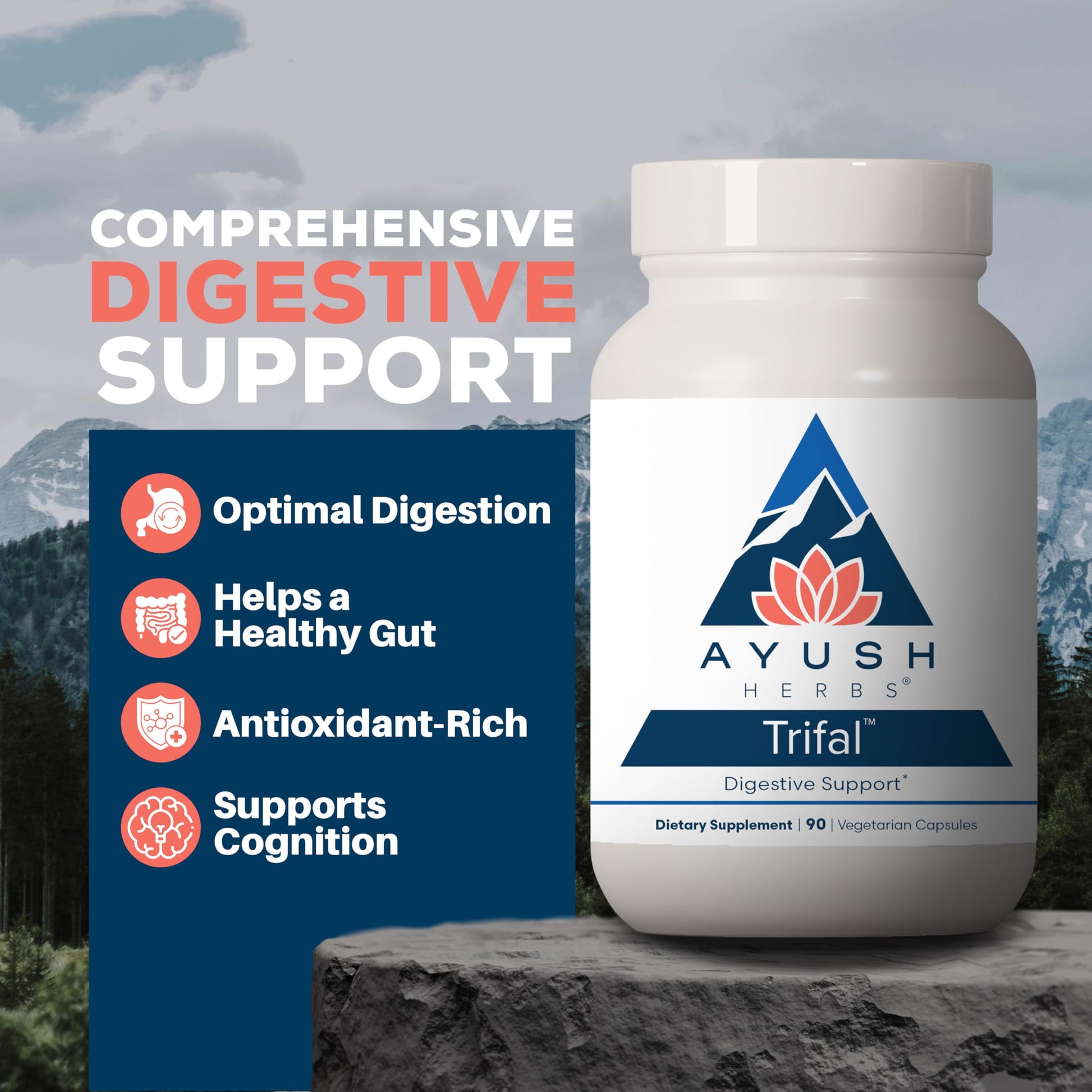 Ayush Herbs Trifal Digestive Support with Amla - Triphala Supplement for Women & Men, Promotes Balanced Digestion, Antioxidant Rich, Made with Organic Ingredients - 90 Vegetarian Capsules (1 Count) Ayush Herbs buy supplements canada