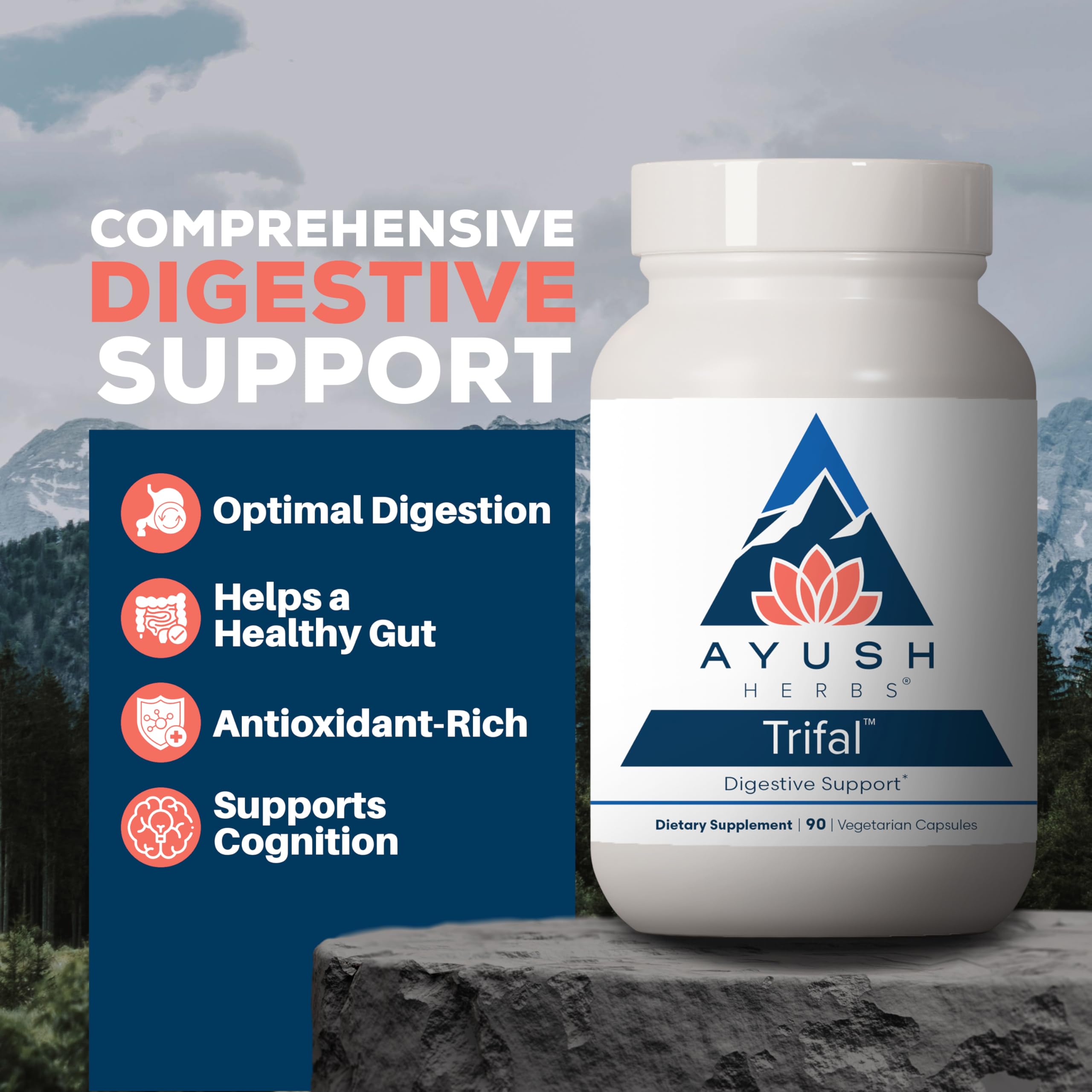 Ayush Herbs Trifal Digestive Support with Amla - Triphala Supplement for Women & Men, Promotes Balanced Digestion, Antioxidant Rich, Made with Organic Ingredients - 90 Vegetarian Capsules (1 Count) Ayush Herbs buy supplements canada