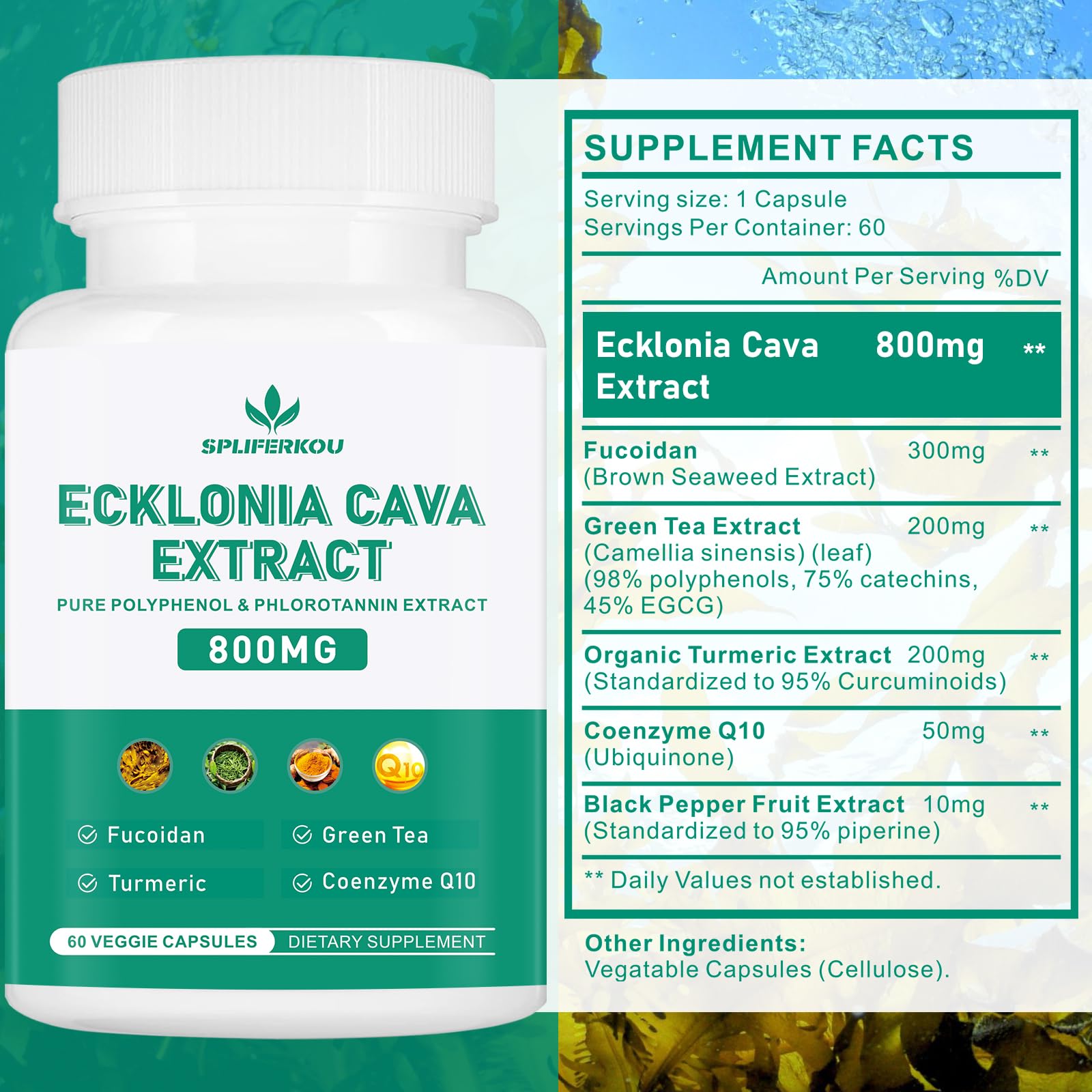 Spliferikou Ecklonia Cava Extract, 800mg, 60 Veggie Capsules with Fucoidan, Green Tea, Turmeric, CoQ10, Dietary Supplement Spliferkou buy supplements canada