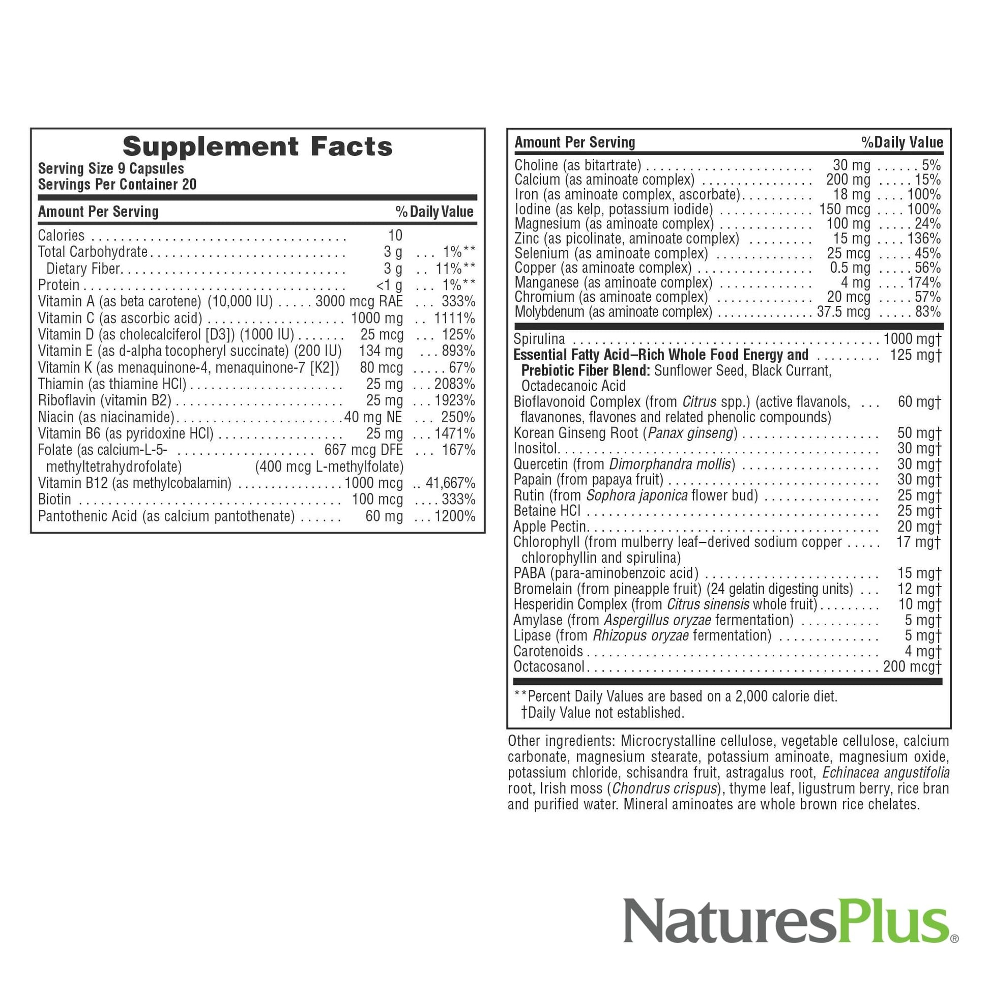NaturesPlus Source of Life - 180 Capsules - Multivitamin & Mineral Supplement - Supports Natural Energy & Overall Well-Being - Gluten Free, Vegetarian - 20 Servings NaturesPlus buy supplements canada