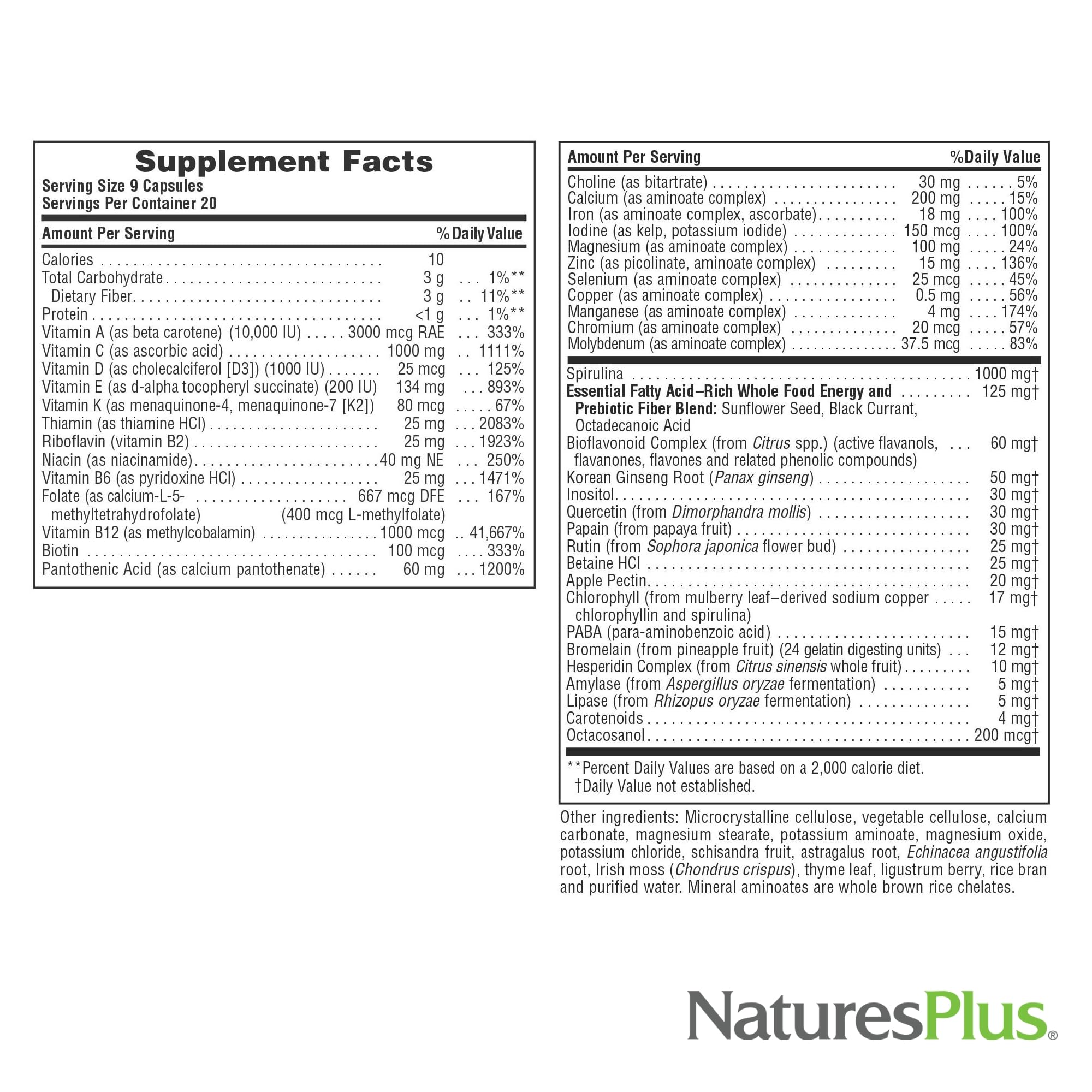 NaturesPlus Source of Life - 180 Capsules - Multivitamin & Mineral Supplement - Supports Natural Energy & Overall Well-Being - Gluten Free, Vegetarian - 20 Servings NaturesPlus buy supplements canada
