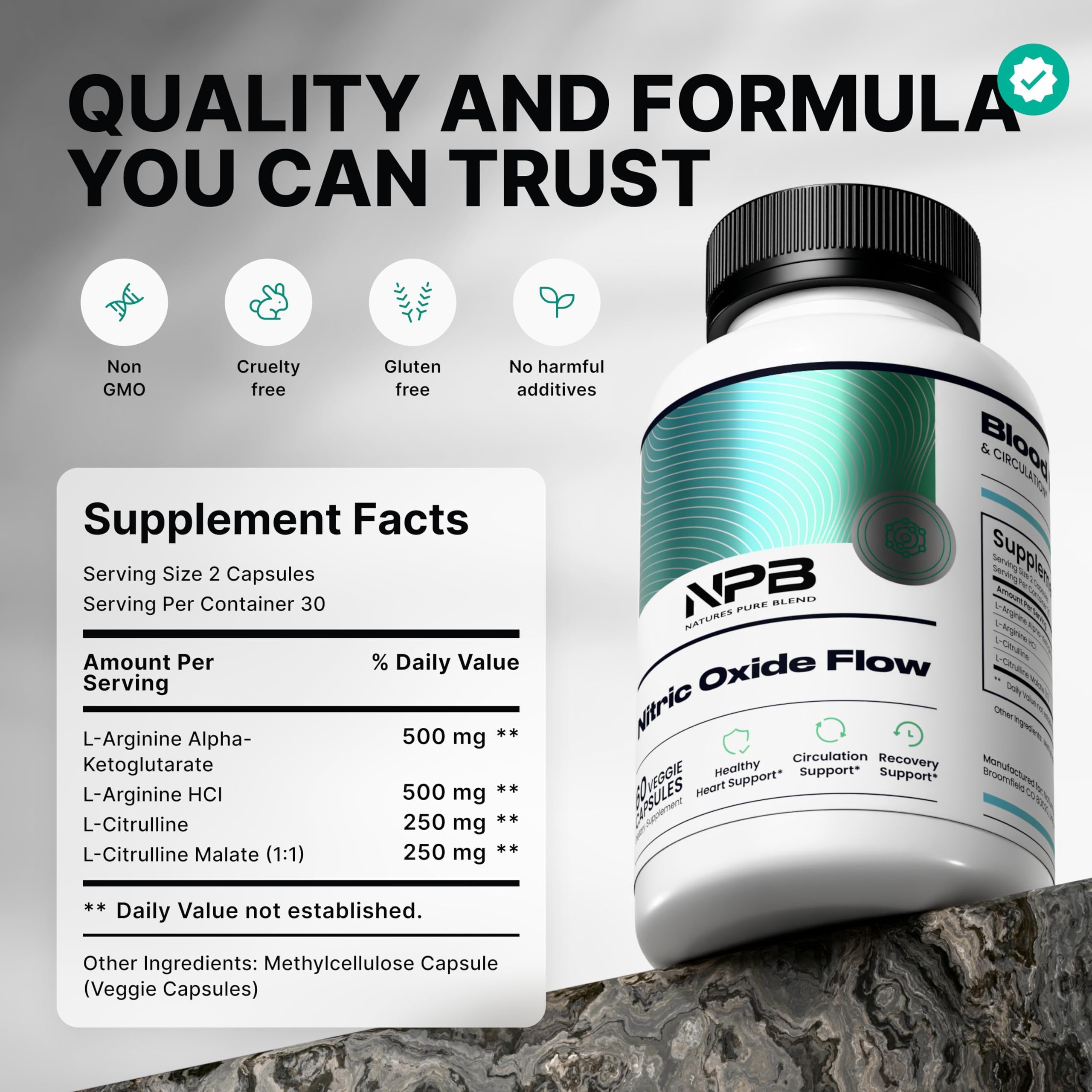 Nature's Pure Blend Nitric Oxide Supplements for Men – L-Arginine L-Citrulline – Heart Support & Flow Circulation Booster – 1500MG L Arginine and L Citrulline, Preworkout, Bodybuilding Nature's Pure Blend buy supplements canada