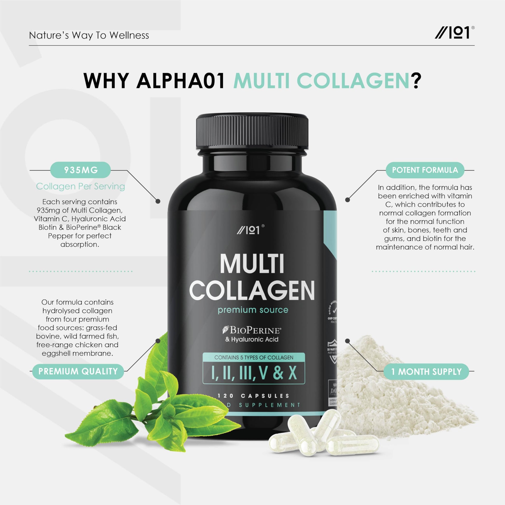 Multi Collagen Capsules - 120 Capsules - Types I, II, III, V & X - Wild Caught Fish, Grass Fed Bovine, Eggshell Revive Naturals buy supplements canada