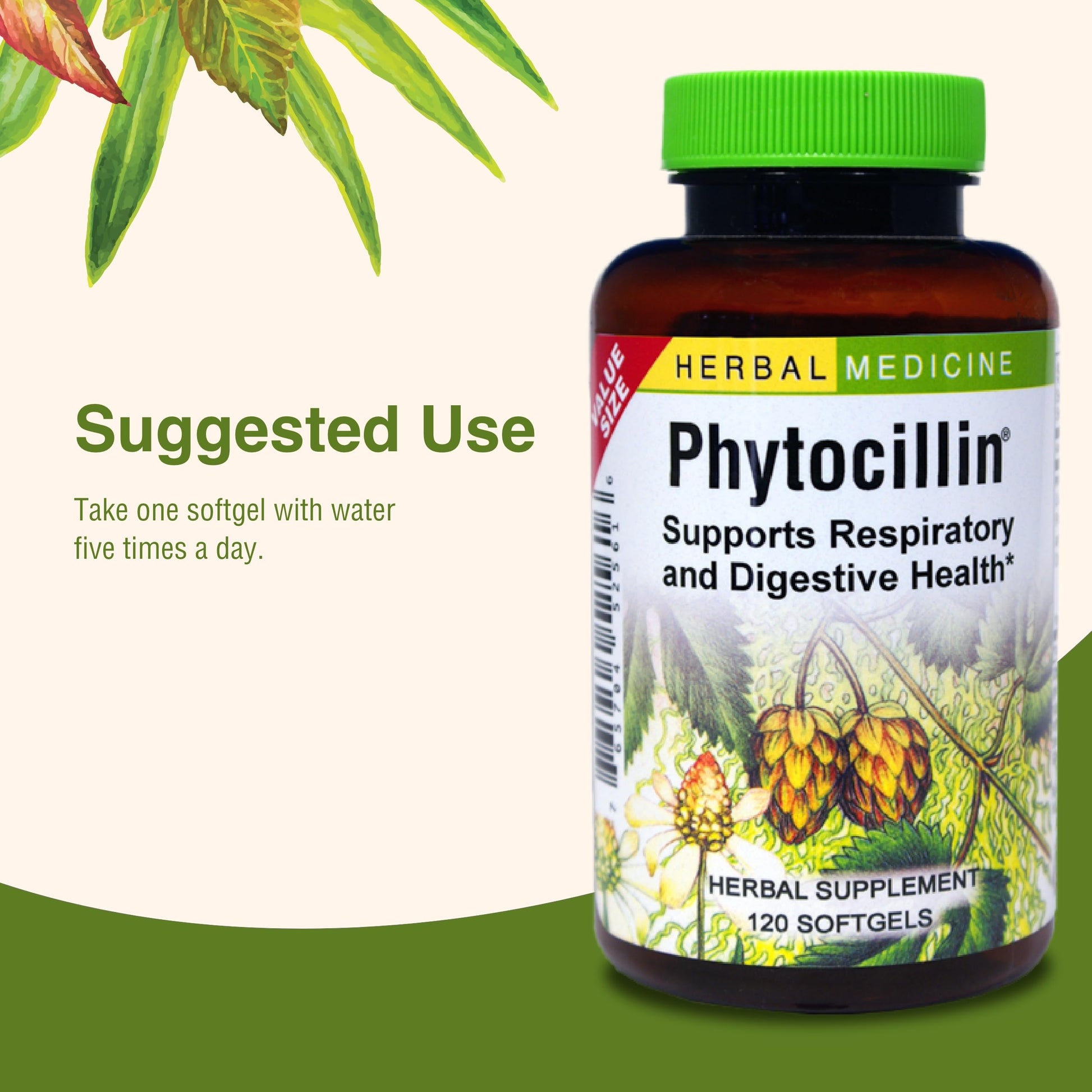 Herbs Etc. Phytocillin - Respiratory & Digestive Health Support Supplement - Herbal Formula to Support Digestion - Support Healthy Breathing - 120 Softgels (120 Servings) Herbs Etc. buy supplements canada