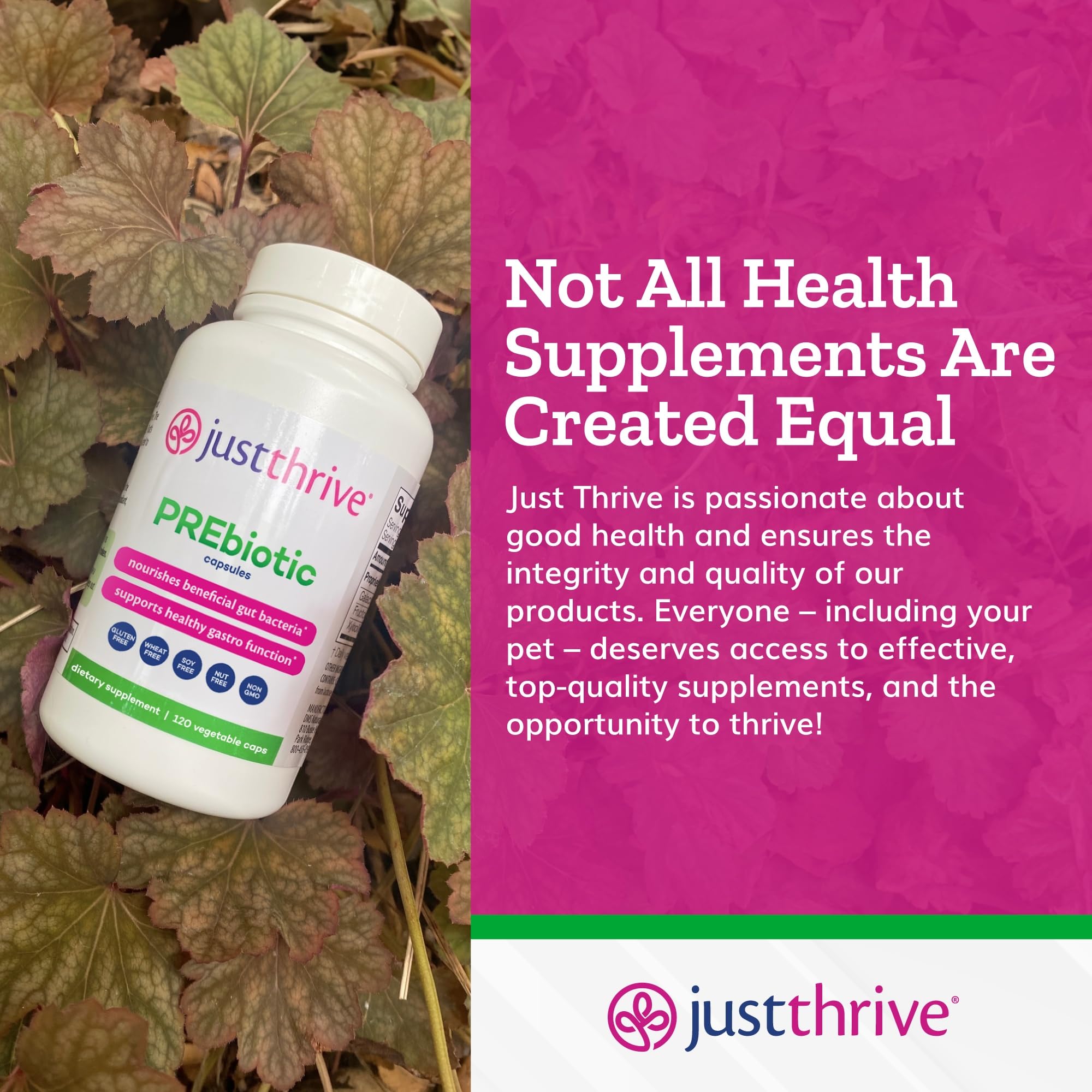 Just Thrive PREbiotic Capsules - Prebiotic Blend for Gut Health and Immune Support, 120 Caps Just Thrive buy supplements canada