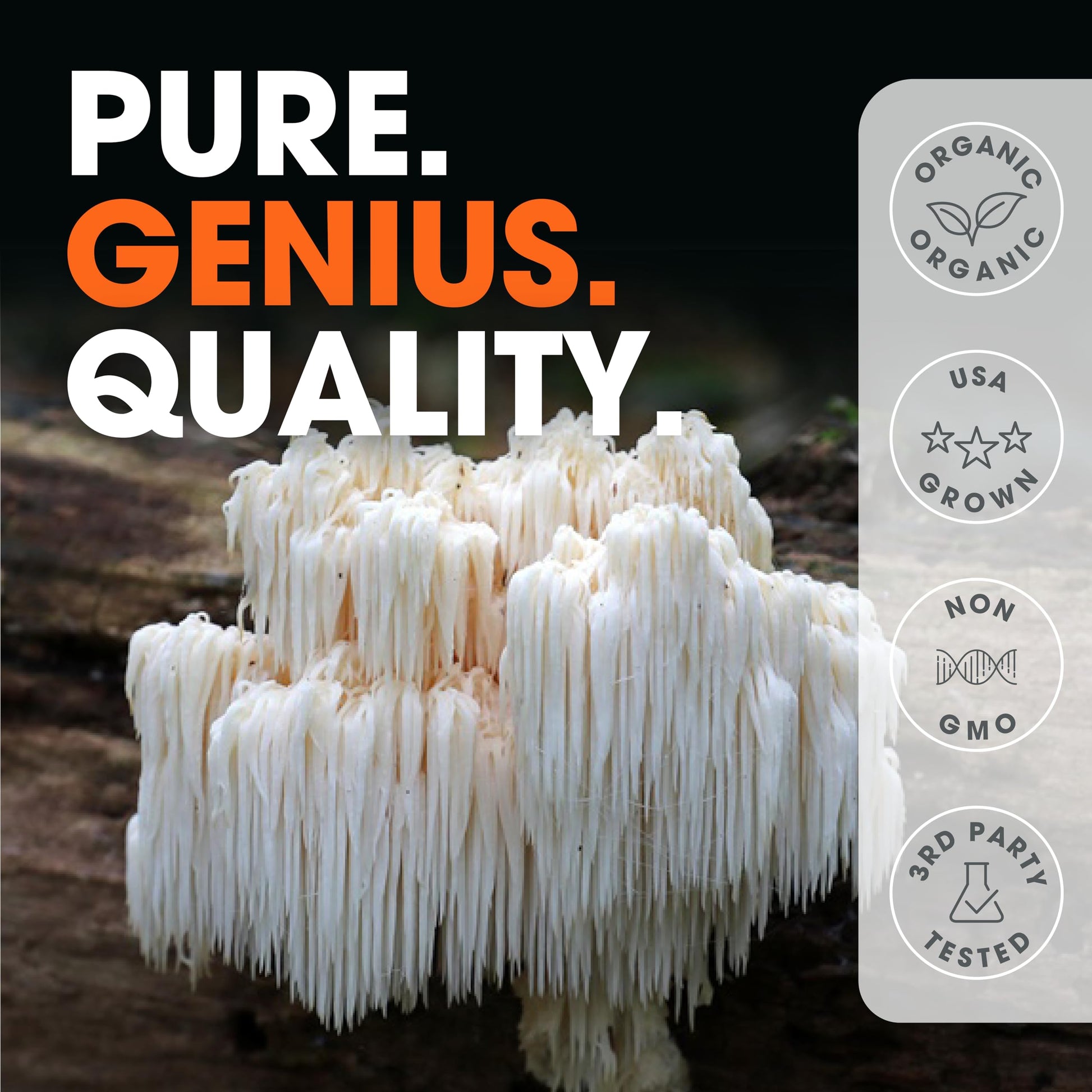 Genius Lions Mane Supplement Capsules - Organic Nootropic Supplement, 1200mg per The Genius Brand buy supplements canada