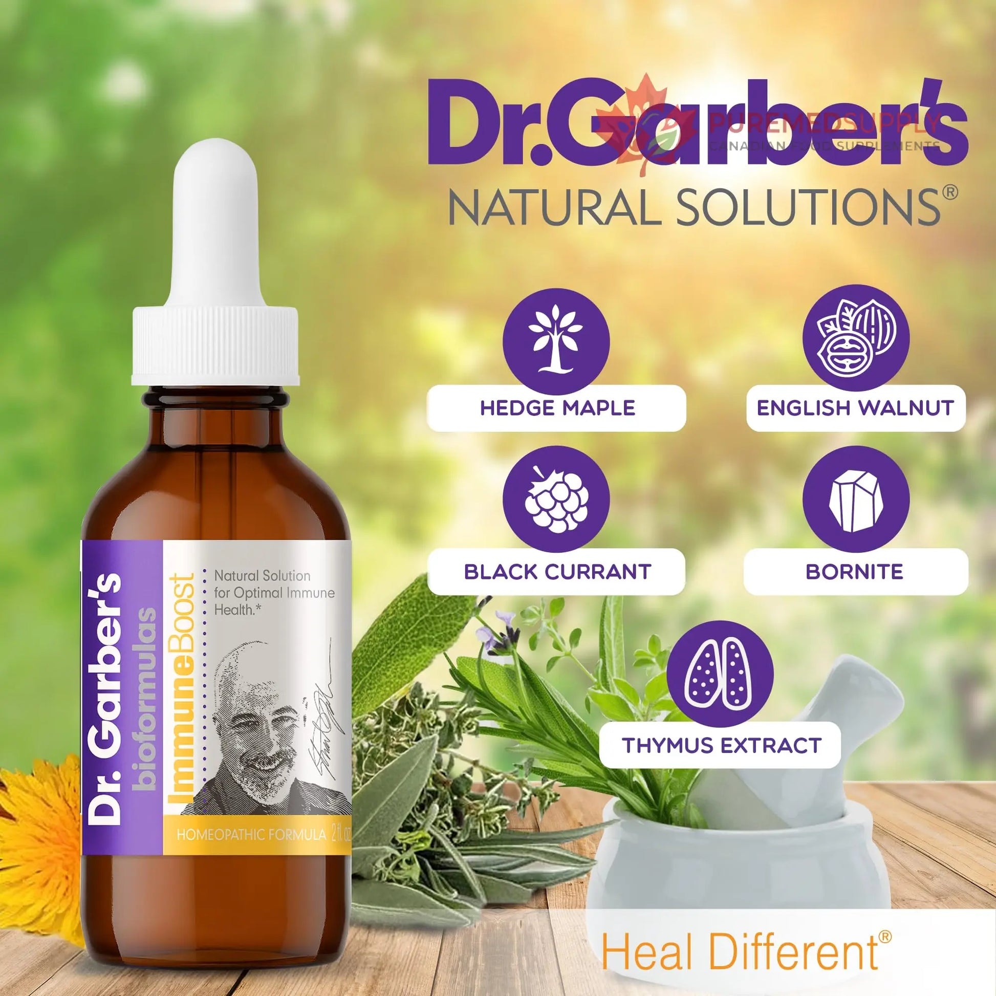 Dr. Garber's Natural Solutions Immune Boost Health Oral Drops - Gemmotherapy Liquid Supplement to Strengthen Immunity, Support Immune System, Increase Resistance, & Contains Antioxidants - 60ml DR.GARBER'S buy supplements canada