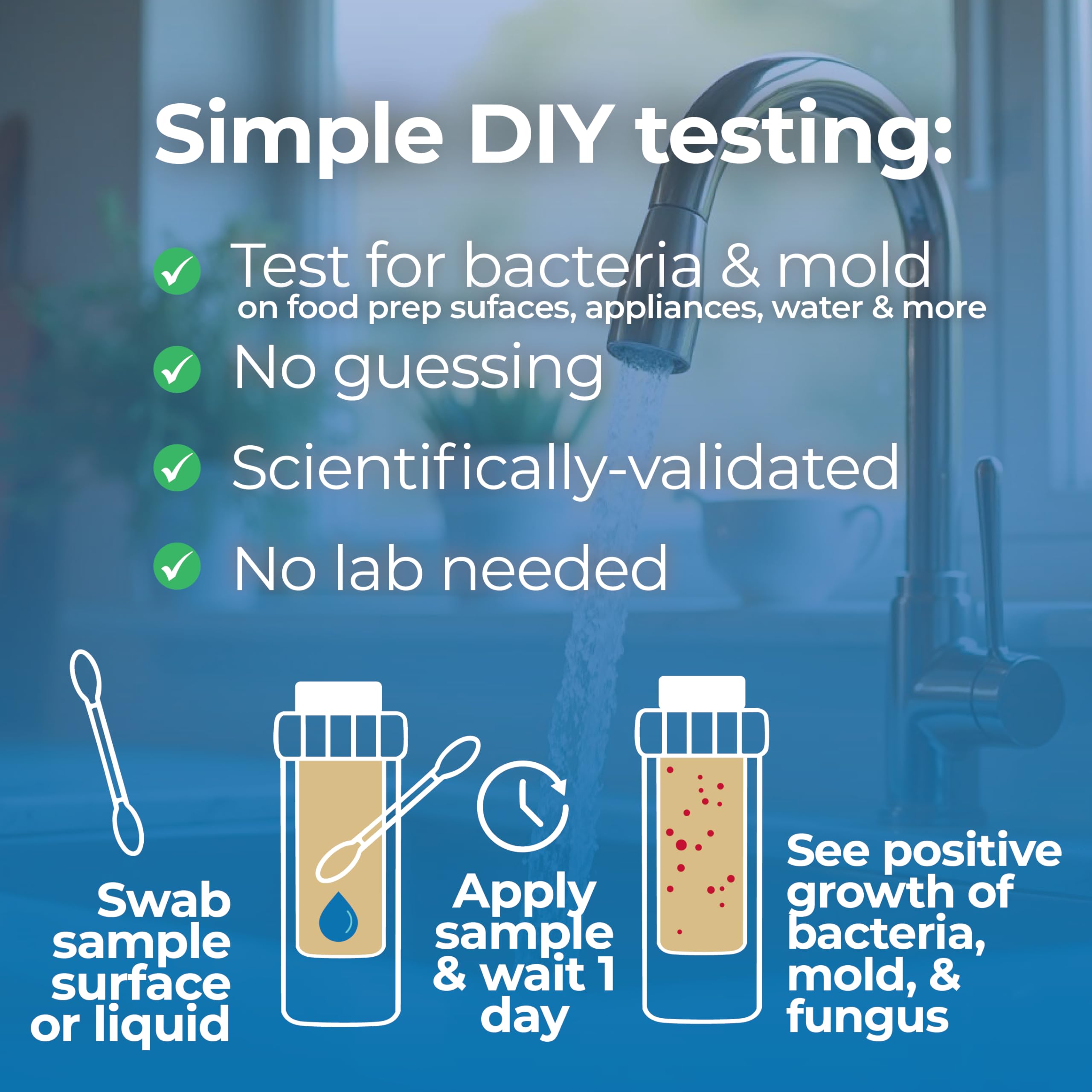 #1 Home, Kitchen, & Appliance Microbial Growth Test Kit – Simple DIY Screening for Bacteria, Mold, & Fungus – Know Your Home is Clean – Made in USA (1 Kit = 4 Bac + 4 Mold Tests) DetektBuy Supplements Australia