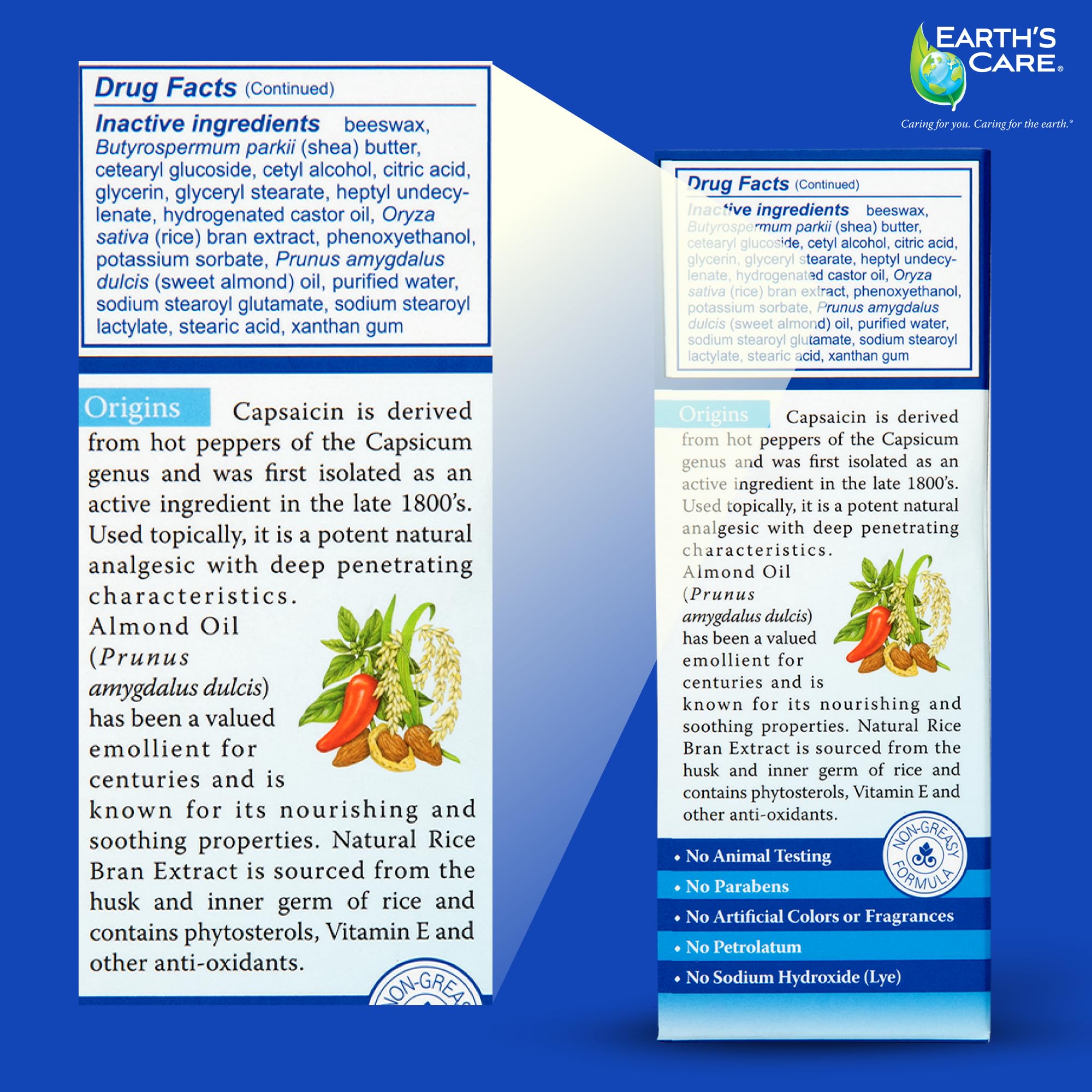 Earth's Care Arthritis Cream - Joint Cream with Natural Capsaicin - Topical Analgesic 2.4 OZ (Pack of 2) Earth's Care buy supplements canada