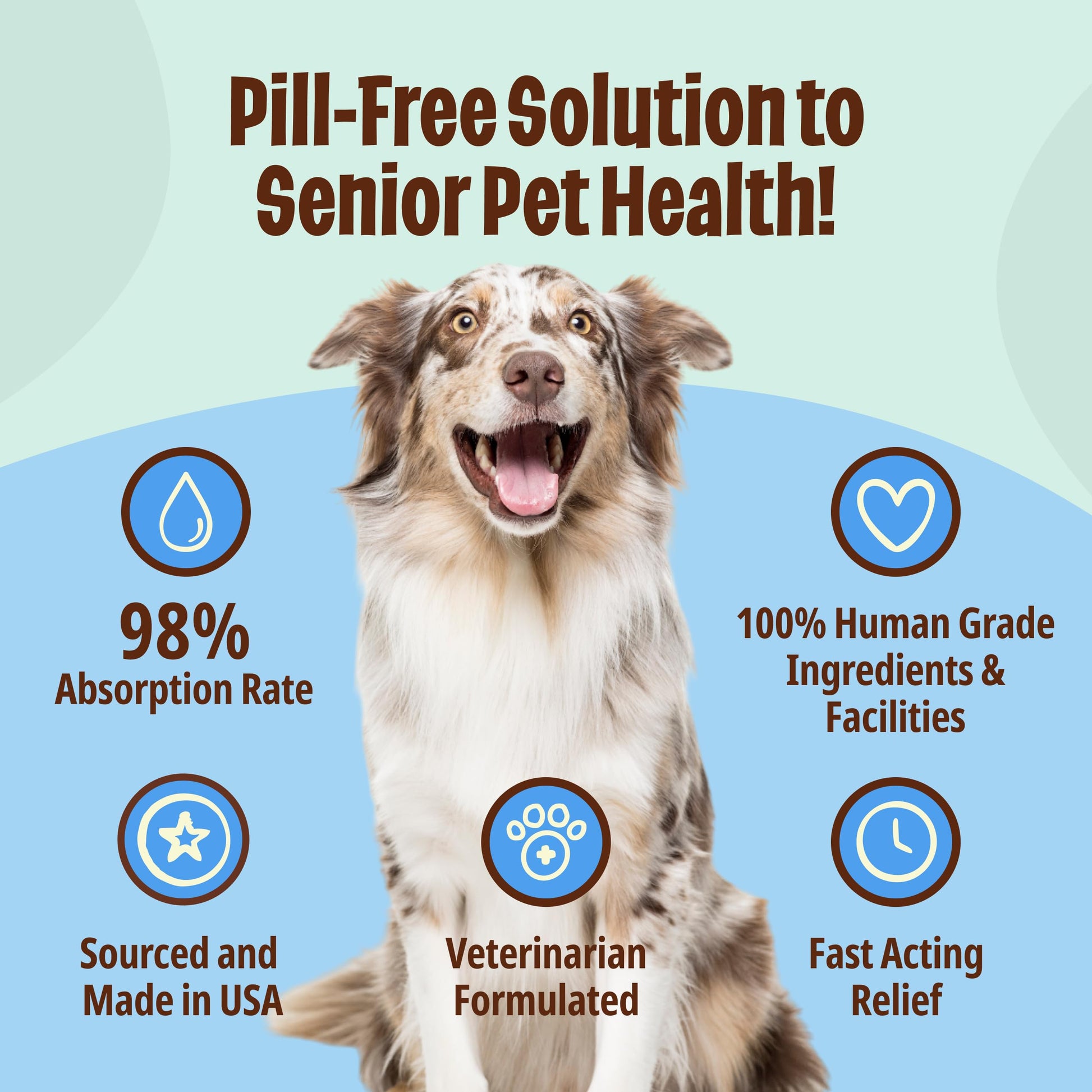 Licks Pill-Free Dog Joint and Heart - Glucosamine & Omega 3 Fish Oil Supplement for Dogs - Inflammation Supplements for Joint Support - Gel Packets - 30 Use Licks Pill Free buy supplements canada
