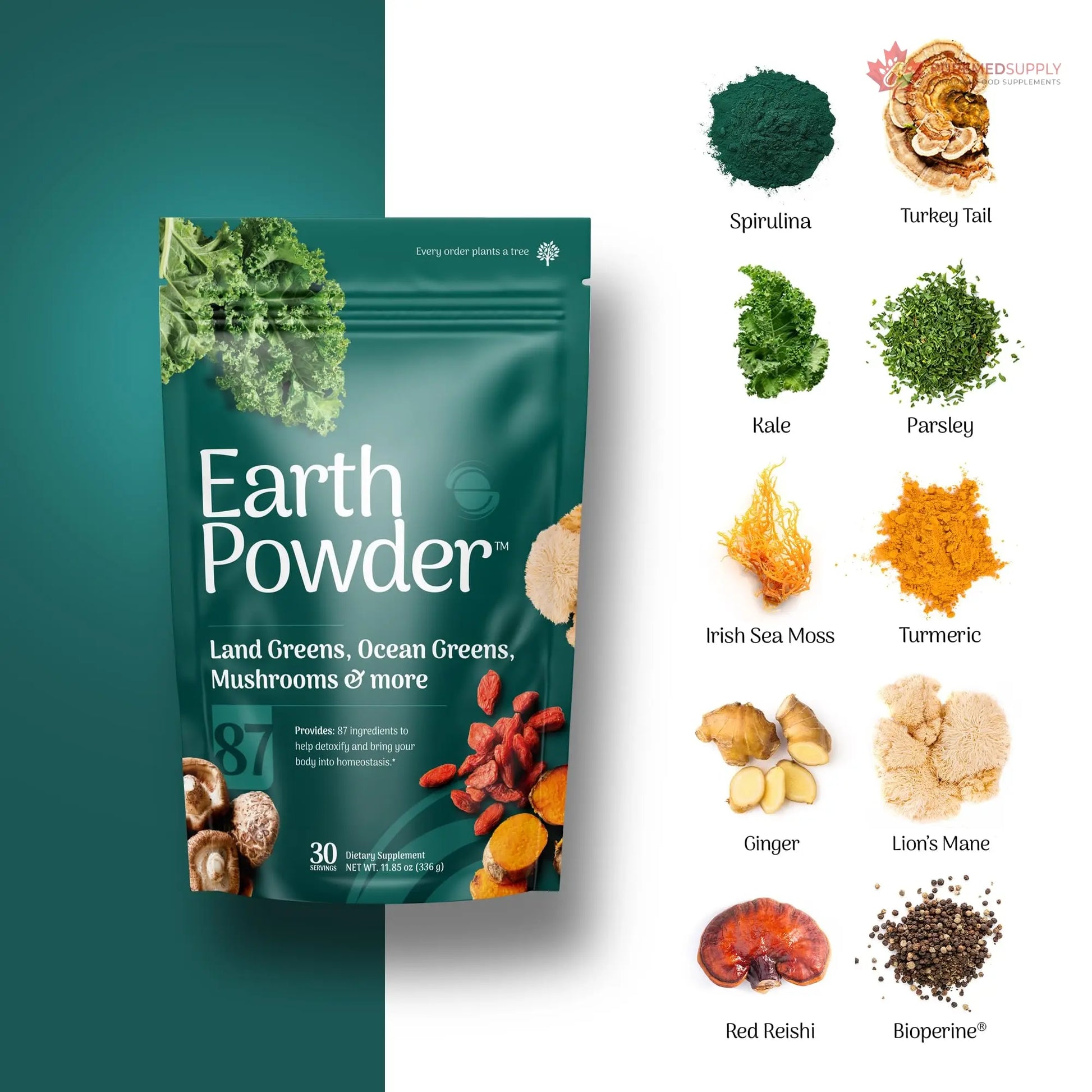 Earth Powder Daily Foundational Nutrition Supplement with 28 Greens & 10 Mushrooms | 87 Nutrients for Energy, Gut Health & Mental Clarity Earth Powder buy supplements canada