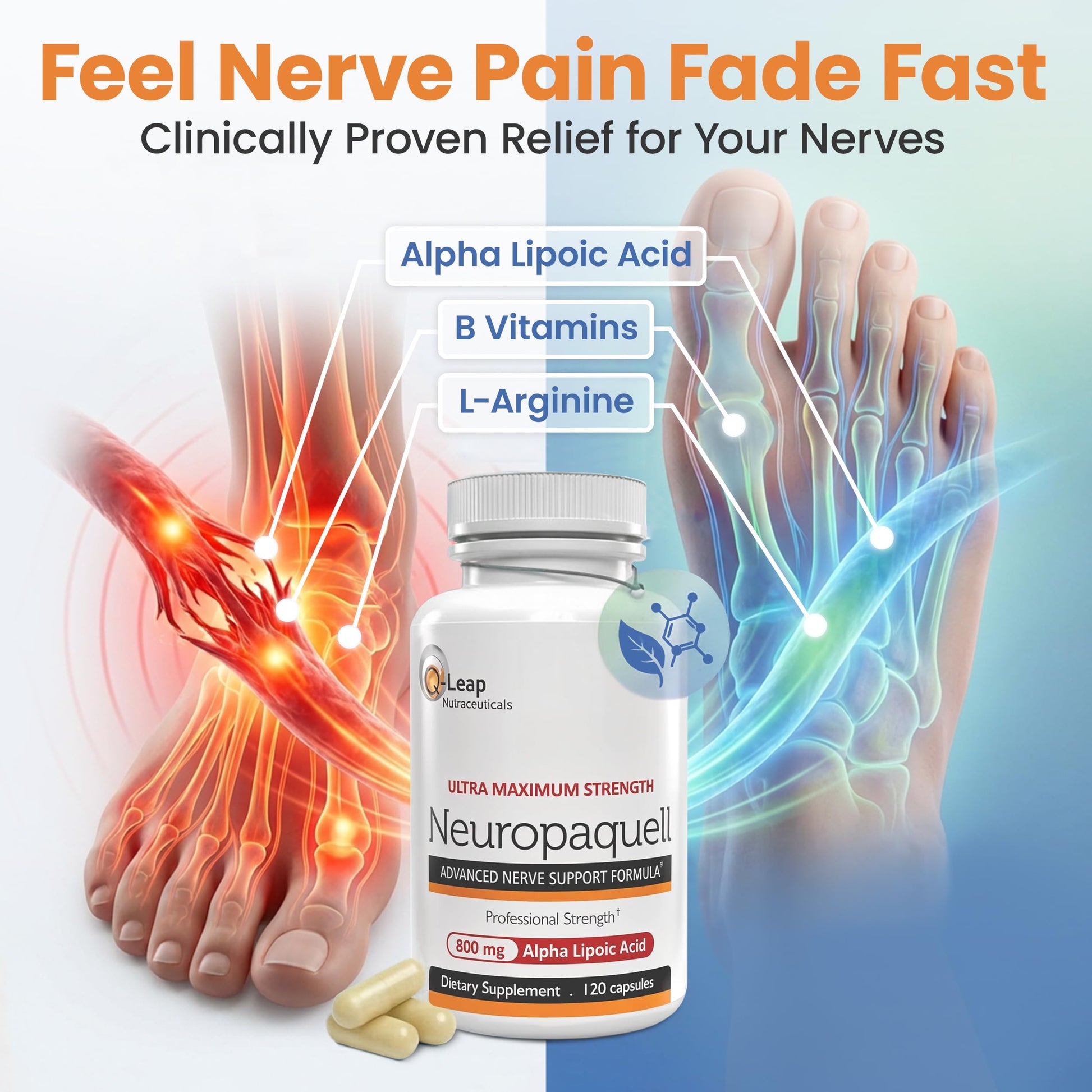Platinum Health Alpha Lipoic Acid for Neuropathy Nerve Pain Support, Supplement, B Vitamins, L Arginine, All Natural Maximum Strength Neuropaquell for Discomfort in Feet, Hand, Toes,120 Capsules,800mg Platinum Health buy supplements canada
