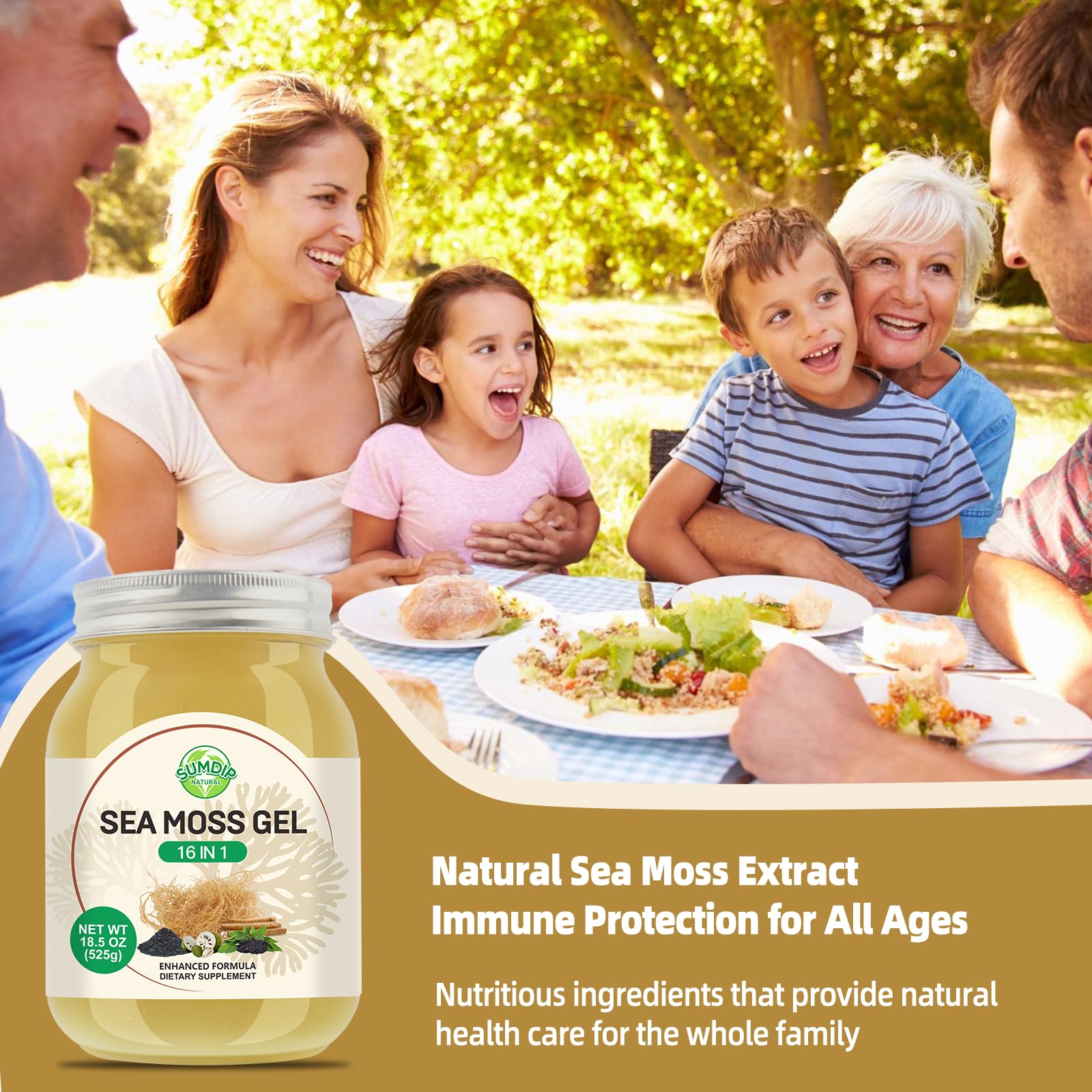 Sea Moss Gel - 18.5 oz Irish Seamoss Gel with Black Seed Oil and Ashwagandha, 16 in 1 Vegan Superfood Rich in Vitamins & Minerals, Raw Wildcrafted Seamoss for Immune & Digestion Support, Original SumDIP buy supplements canada