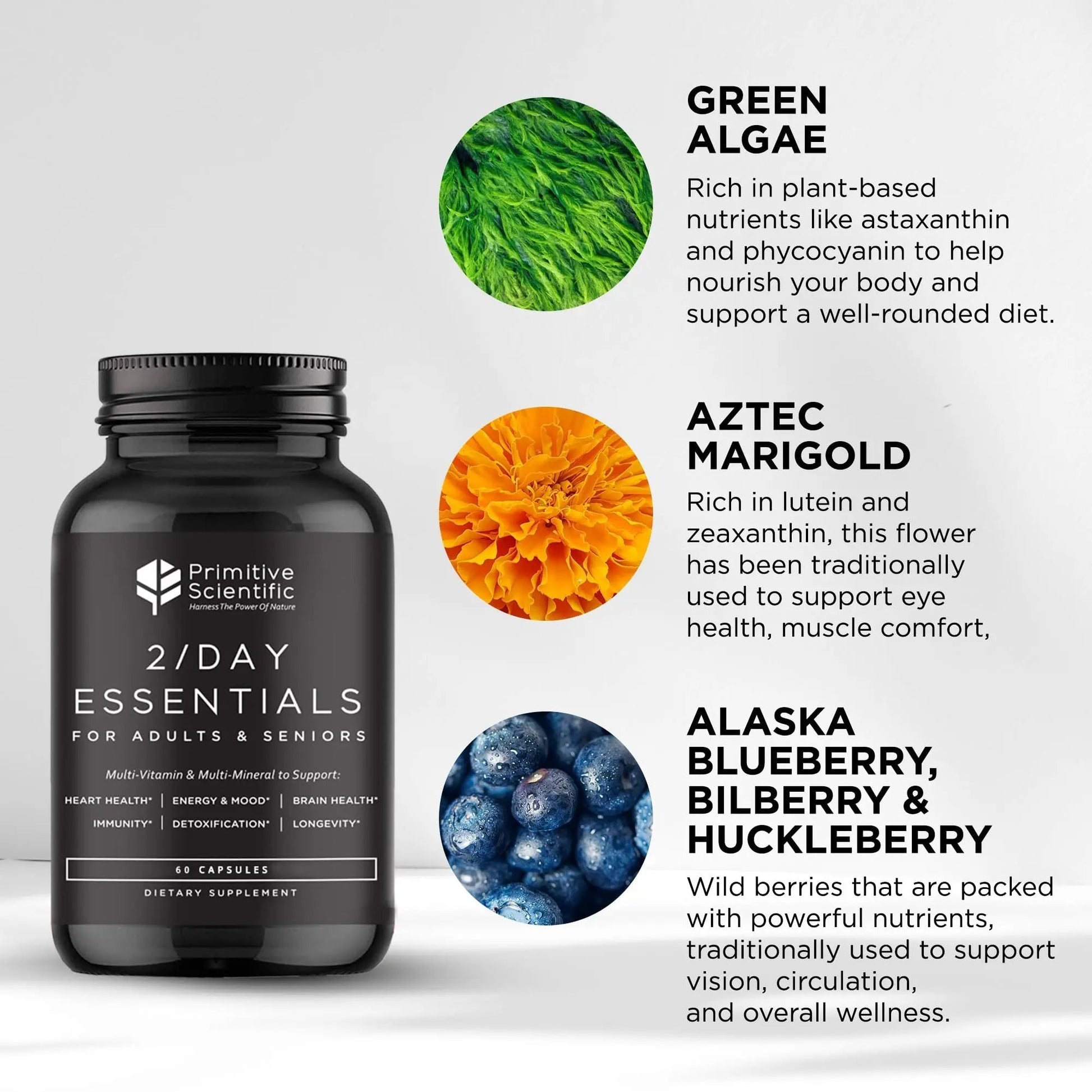 Primitive Scientific Whole Food Daily Essential Multivitamins for Adults and Seniors - 2X a Day - Vitamin A, C, D, E, B12 and Minerals Primitive Scientific buy supplements canada