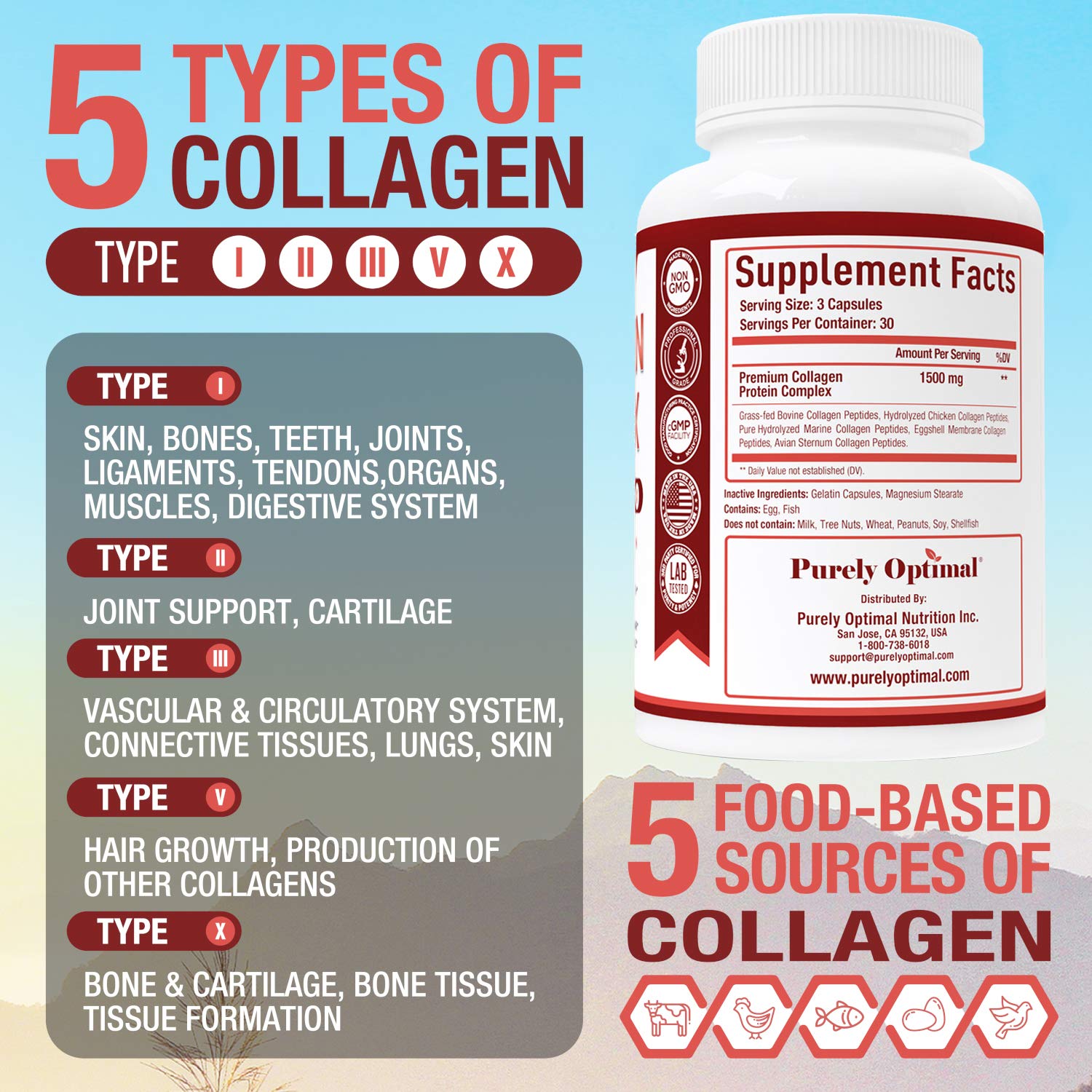 Purely Optimal Premium Multi Collagen Peptides Capsules (Types I, II, III, V, X) - Hair Purely Optimal buy supplements canada