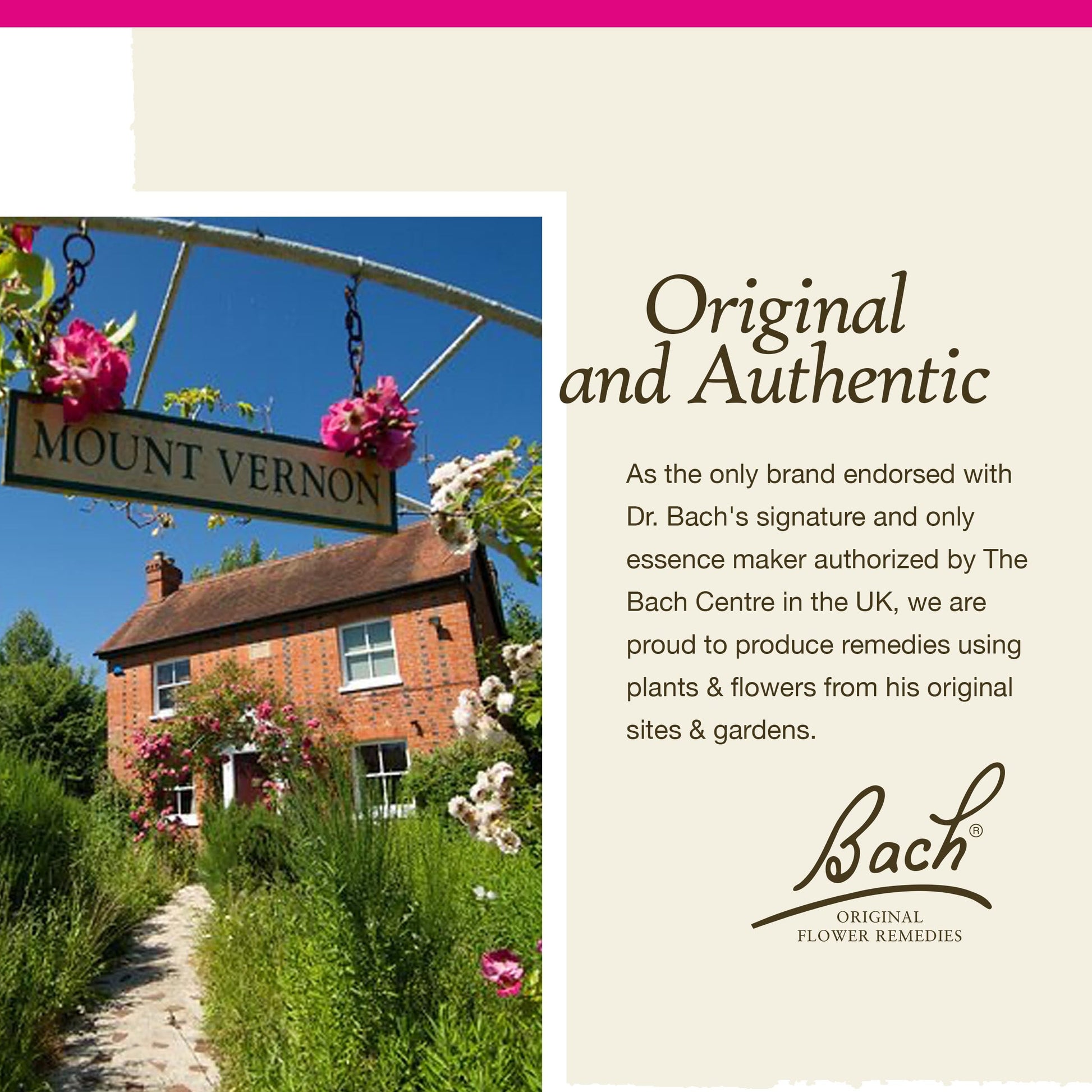 Bach Original Flower Remedies, Pine for Self Respect, Natural Homeopathic Flower Essence Bach buy supplements canada
