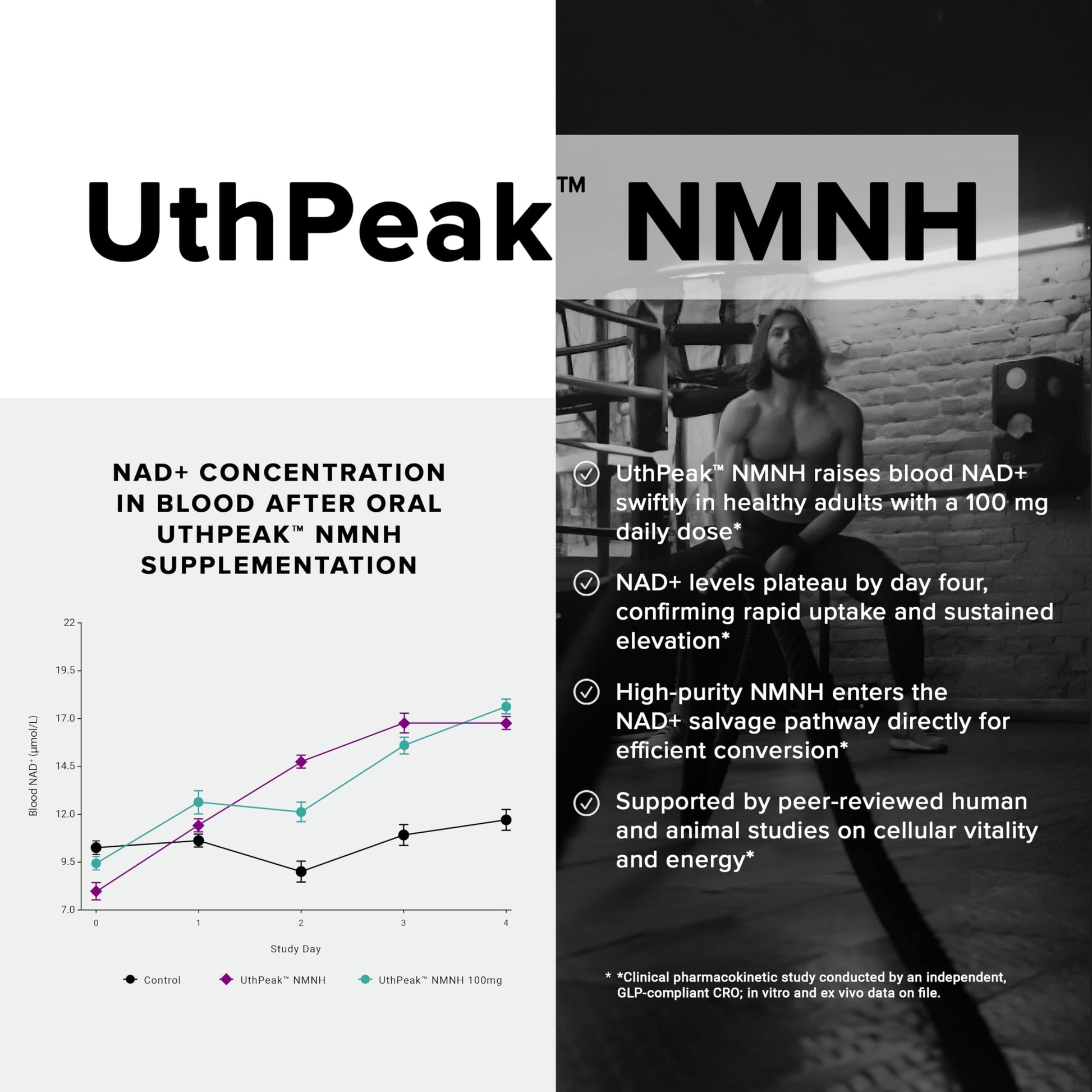 Toniiq NMNH Supplement – Ultra High Potency 1,000mg Complex with Clinically Studied Uthpeak™ NMNH, Resveratrol, Quercetin & TMG – Highly Purified – Third-Party Lab Tested – 60 Capsules Toniiq buy supplements canada