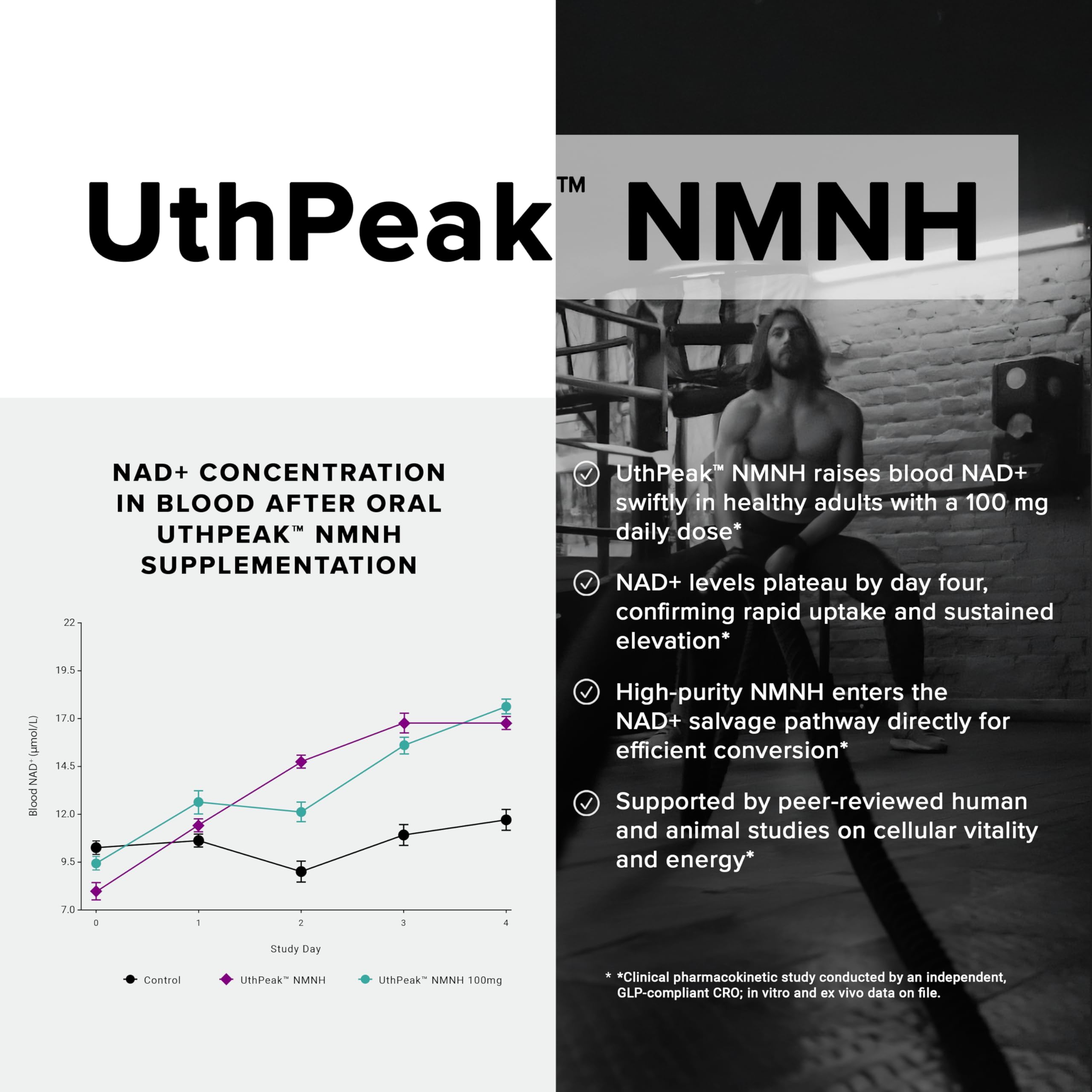 Toniiq NMNH Supplement – Ultra High Potency 1,000mg Complex with Clinically Studied Uthpeak™ NMNH, Resveratrol, Quercetin & TMG – Highly Purified – Third-Party Lab Tested – 60 Capsules Toniiq buy supplements canada