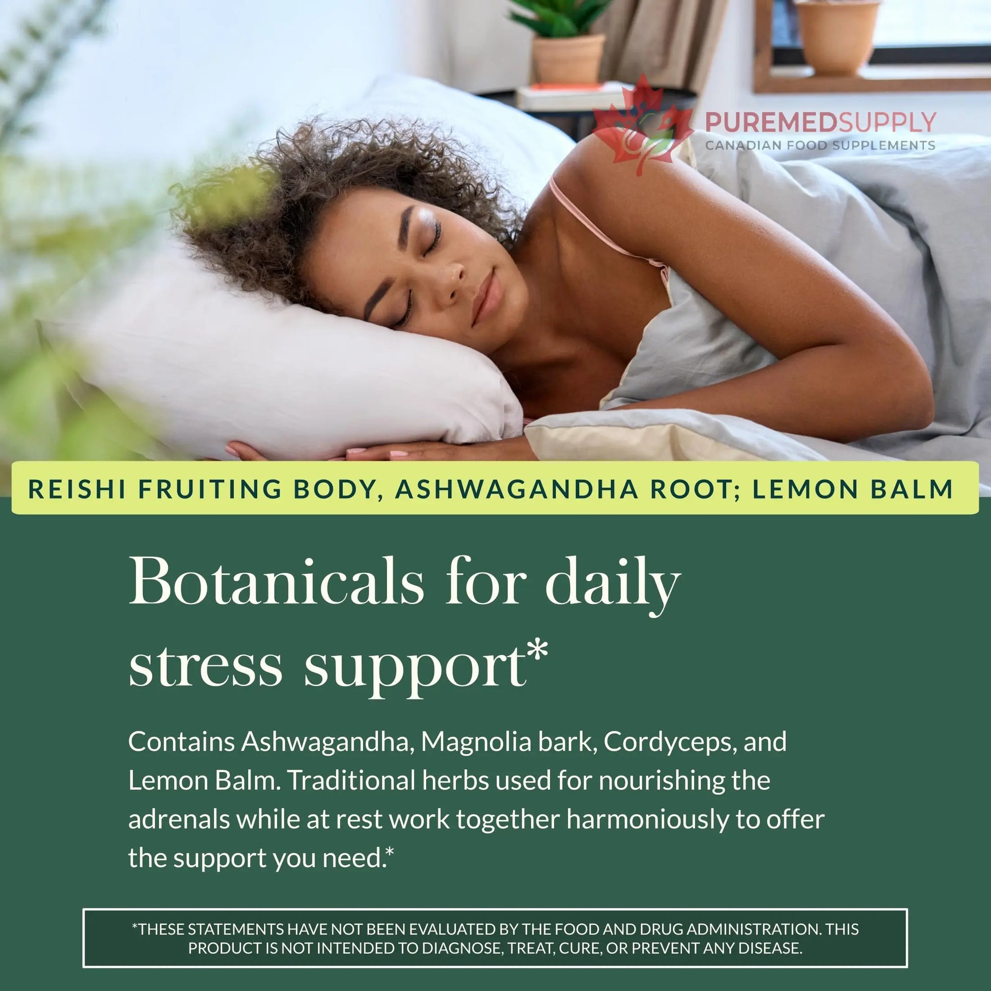 Gaia Herbs Adrenal Health Daily Support, Help Maintain Healthy Energy & Stress Levels*,120 Liquid Phyto-Caps Adrenal Health Nightly Restore, 120 Liquid Phyto-Caps - Bundle Gaia Herbs buy supplements canada