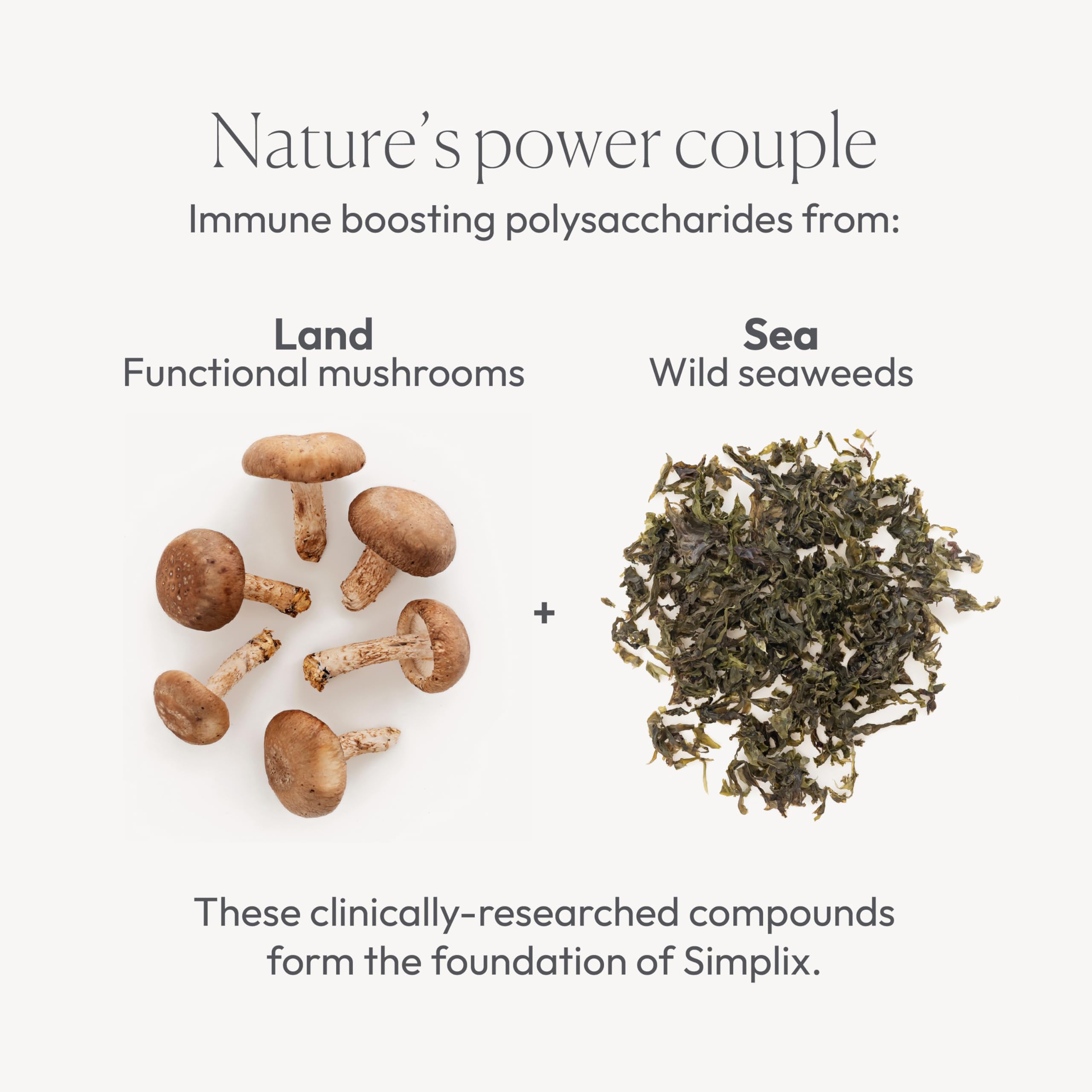 Simplix | Natural Supplement to Strengthen The Immune System | Respond to Outbreaks | Source of Highly Researched Mushroom & Seaweed Polysaccharides 60 Veggie Capsules (1 Pack) Papillex buy supplements canada