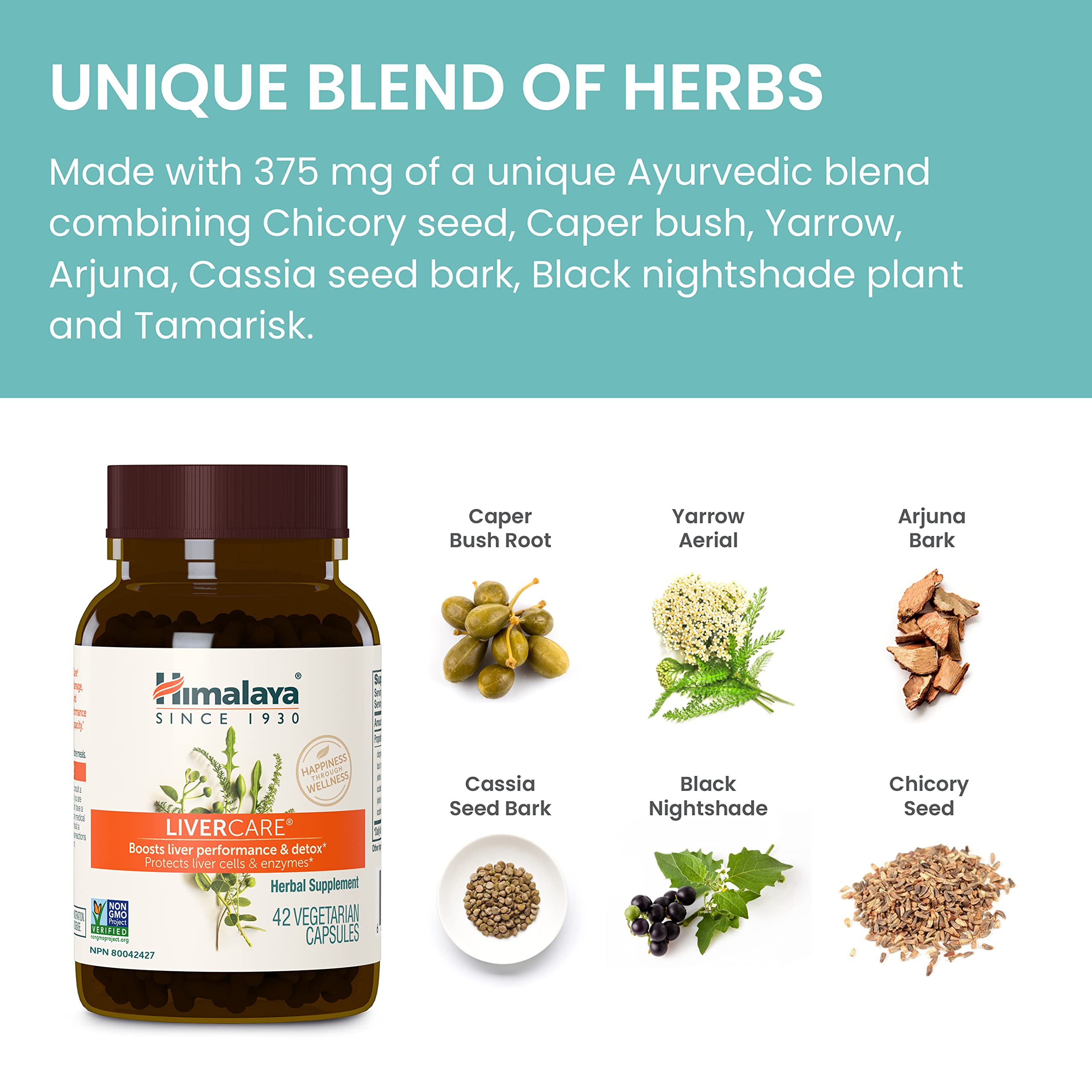 Himalaya LiverCare for Total Liver Support, Cleanse and Detox, Protects Cells & Enzymes Himalaya buy supplements canada