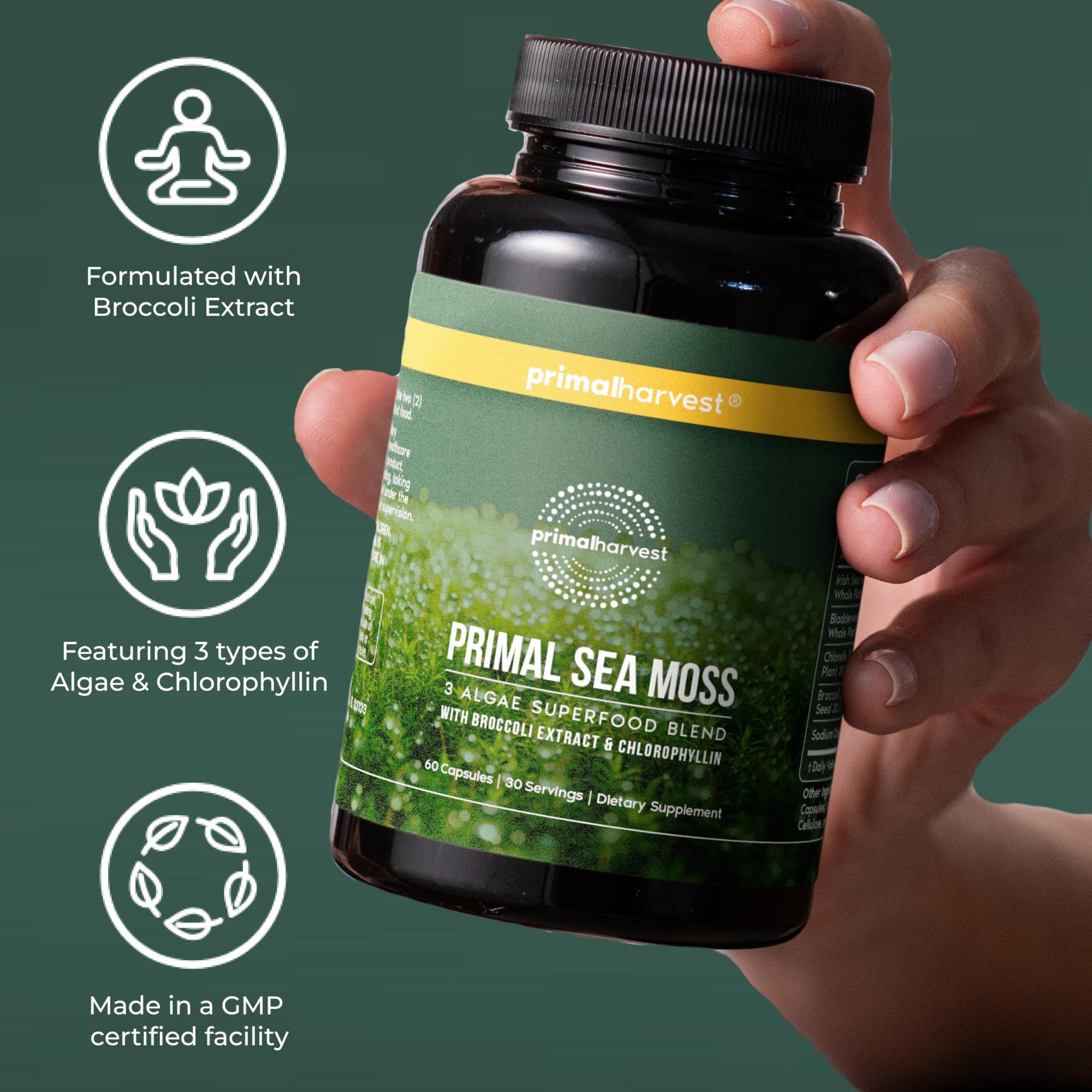 Primal Harvest Sea Moss Capsules with Bladderwack and Irish Sea Moss, Chlorella, Broccoli Seed Extract Plant-Based Supplements for Adults Primal Harvest buy supplements canada