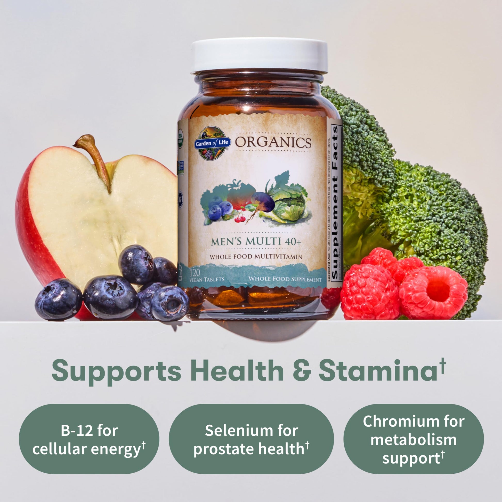 Garden of Life Organics Men's 40+ Multivitamin with Prostate Support, B12 & Vitamins – Vegan Daily Whole Food Multivitamin, Non-GMO, Certified Organic, 120 Tablets Garden of Life buy supplements canada