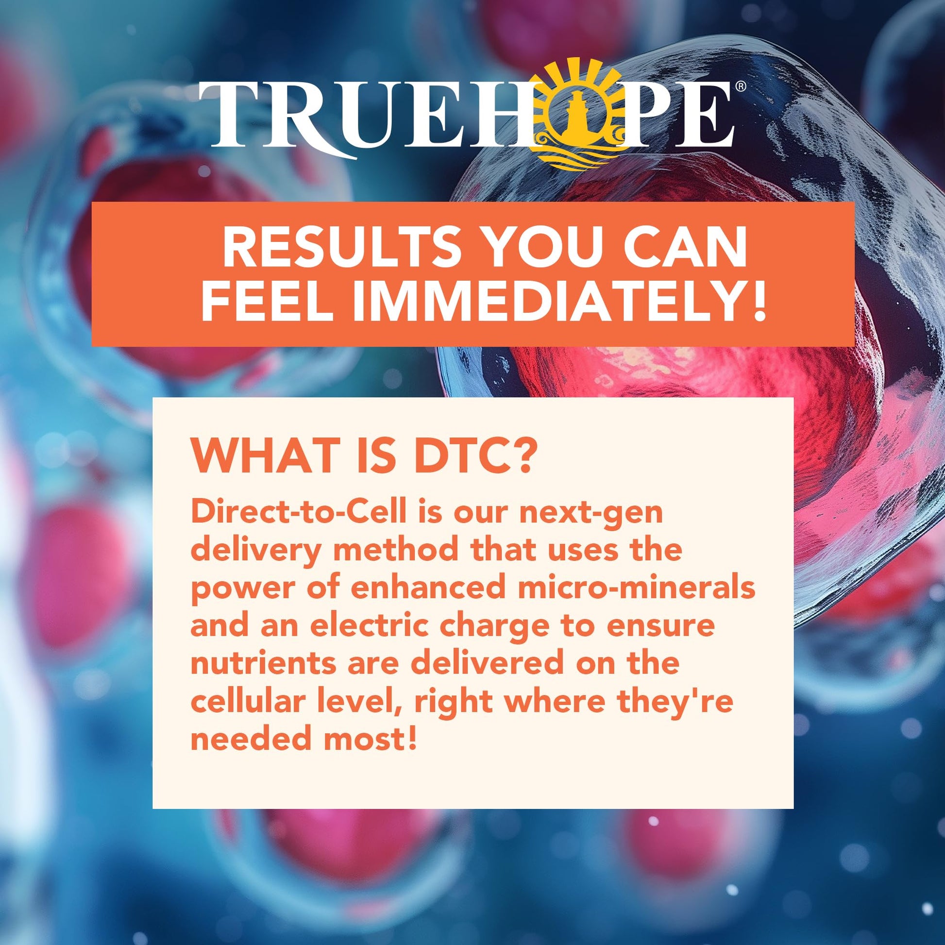 Truehope Multivitamin Nootropic Pouches with Inositol - Once-Per-Day EMPowerplus Ultimate Sticks - 30 Count (Tropical) Truehope buy supplements canada