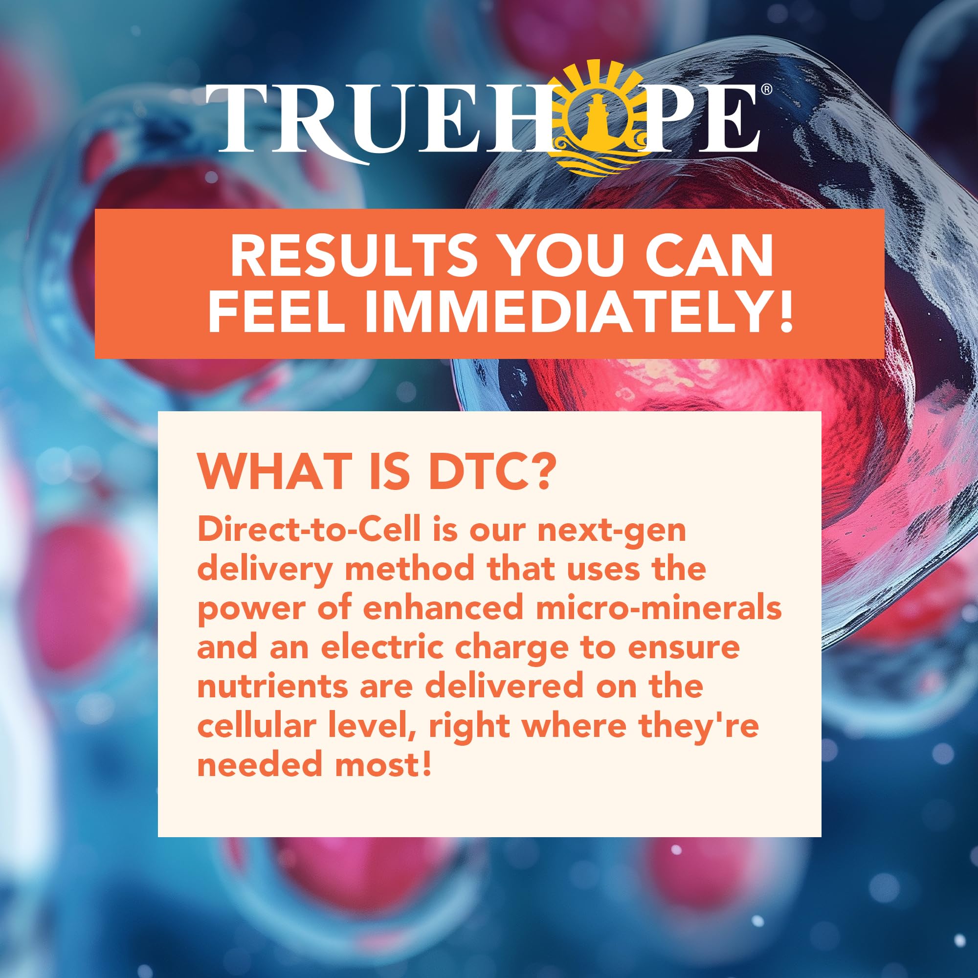 Truehope Multivitamin Nootropic Pouches with Inositol - Once-Per-Day EMPowerplus Ultimate Sticks - 30 Count (Tropical) Truehope buy supplements canada