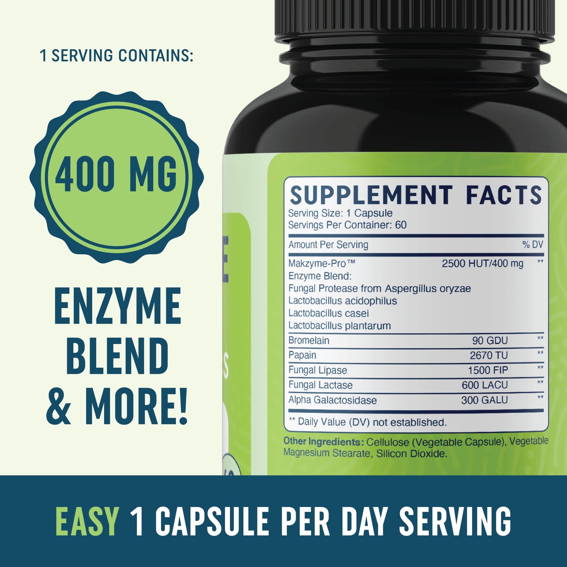 Digestive Enzymes with Probiotics for Bloating Relief & Digestive Health MAV NUTRITION buy supplements canada