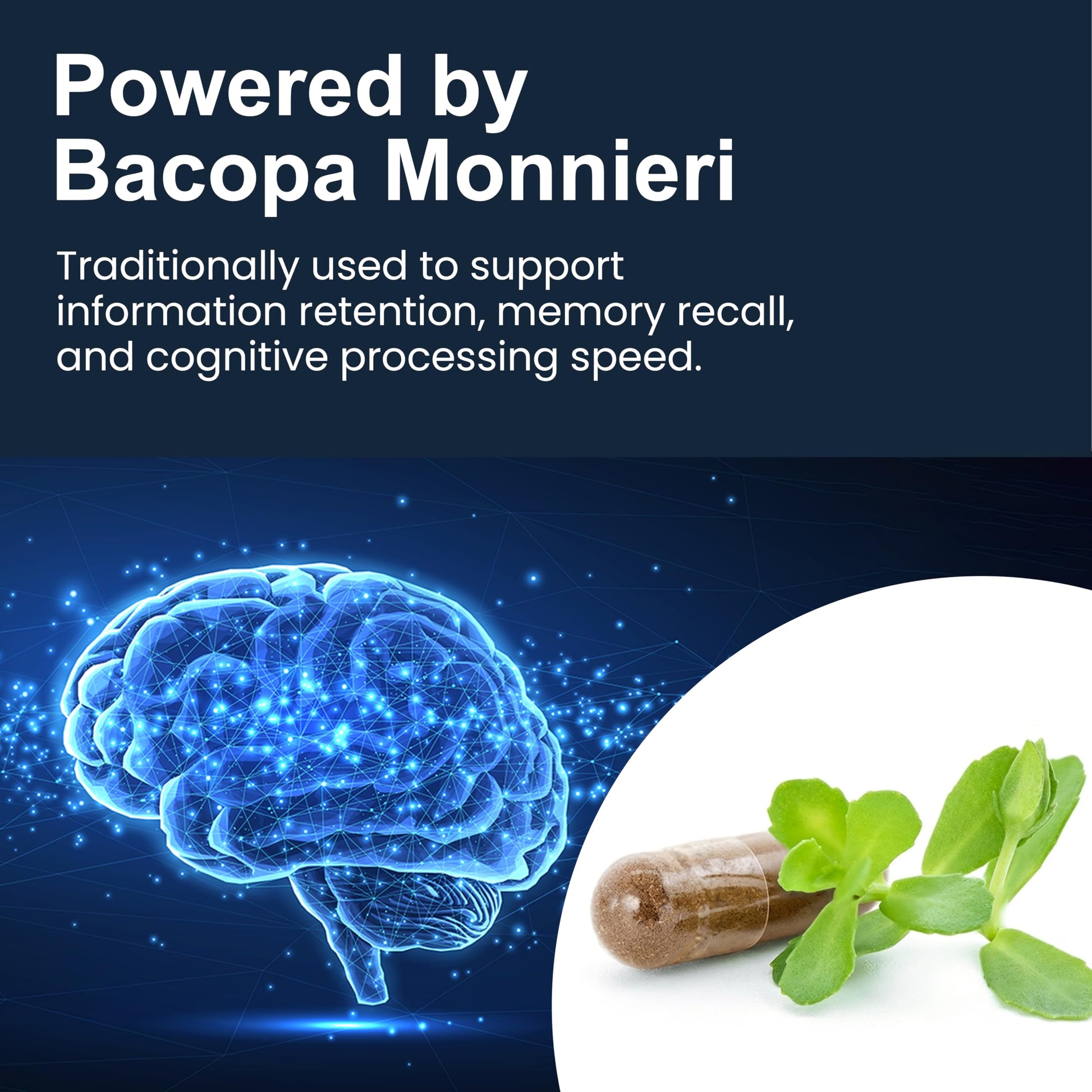 Pure Prana Ayurvedic Brain Supplement Capsules with Brahmi, Ashwagandha & Gotu Kola - Plant-Based Nootropic Cognitive Wellness Formula for Daily Focus - Vegan Clarity for Men Women - 60 Capsules Pure Prana buy supplements canada
