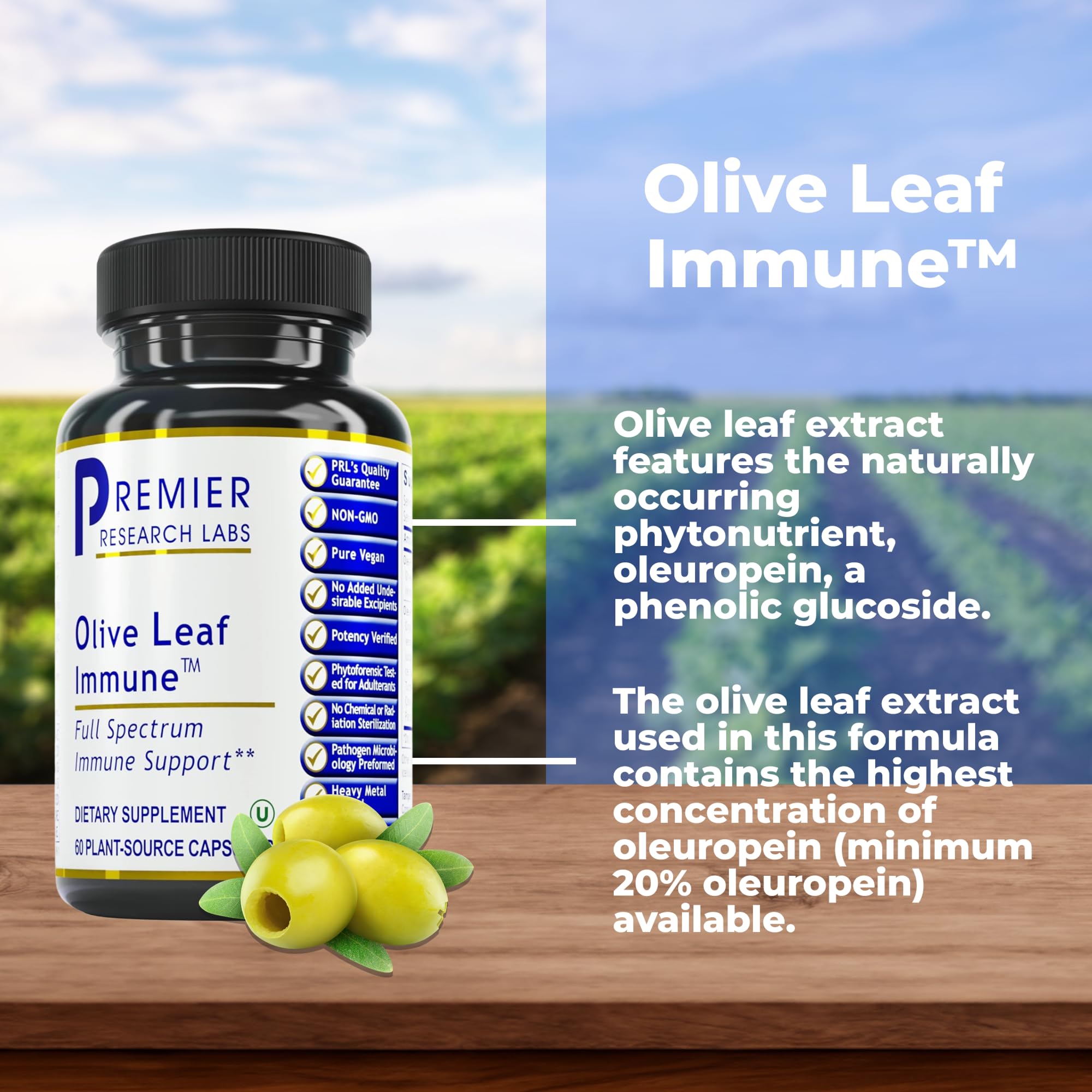 Premier Research Labs Olive Leaf Immune - Olive Leaf Extract Capsules, The Olive Leaf Pills with Phytonutrient Oleuropeinm, Herbal Supplement for Immune & Heart Health Support - 60 Vegetarian Capsules Premier Research Labs buy supplements canada
