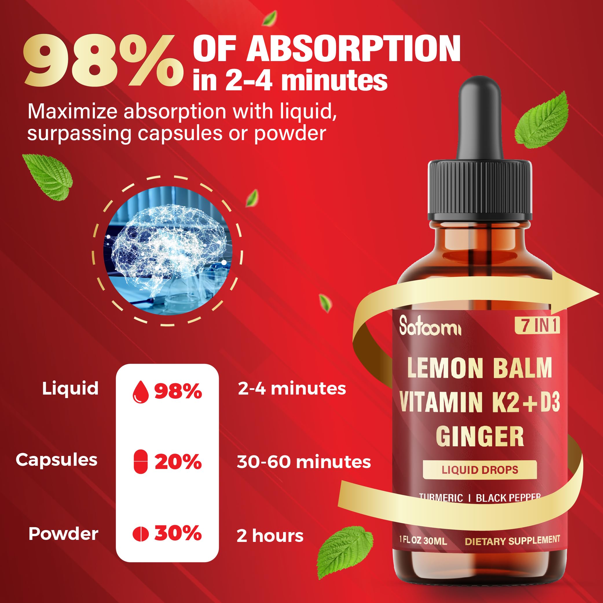 Satoomi 7in1 Lemon Balm Tincture with Vitamin D3, Vitamin K2, Ginger Root, Turmeric, Ceylon Cinnamon and Black Pepper - 1 FL Oz - 60 Day Supply Satoomi buy supplements canada