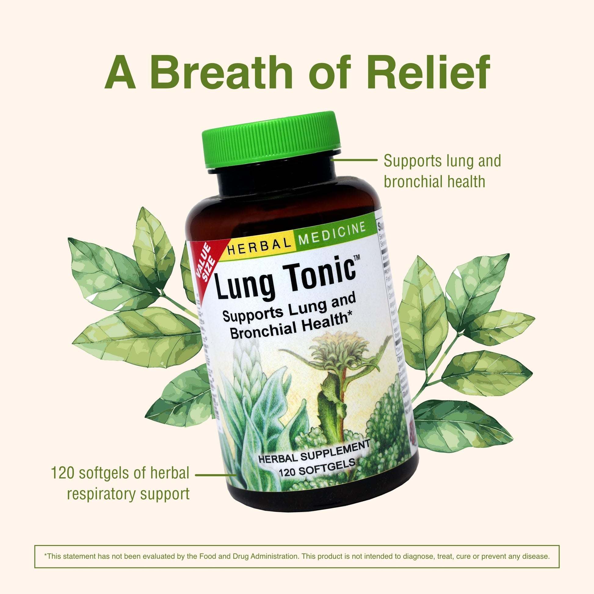 Herbs Etc. Lung Tonic - Lung Supplement for Bronchial Support - Healthy Breathing Support with Mullein, Horehound & Grindelia - 120 Softgels Herbs Etc. buy supplements canada
