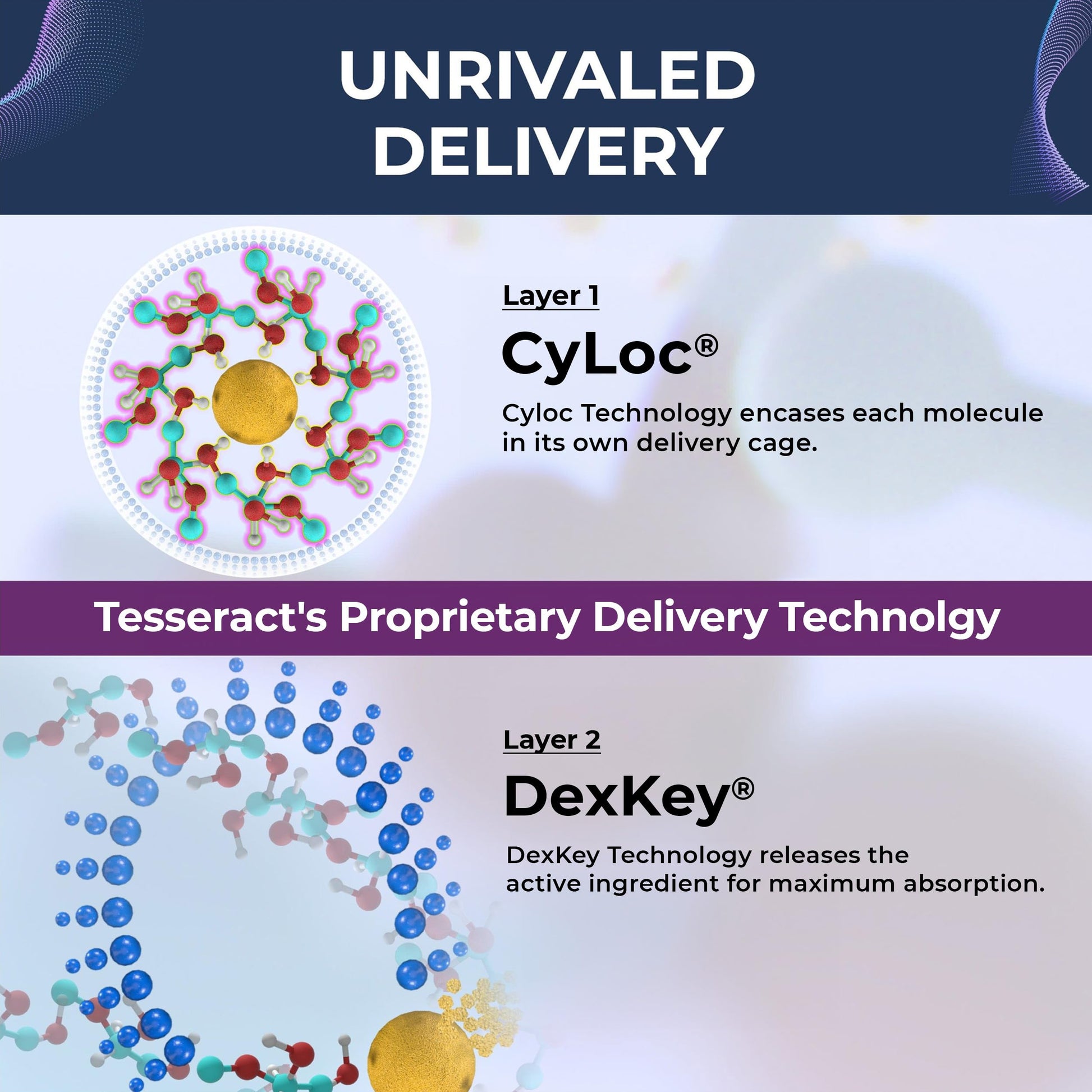 Tesseract Medical Research ProButyrate Gut Health Supplement, Butyric Acid Complex & TetraCumin SR Joint Support Supplement, Sustained Release Tesseract Medical Research buy supplements canada