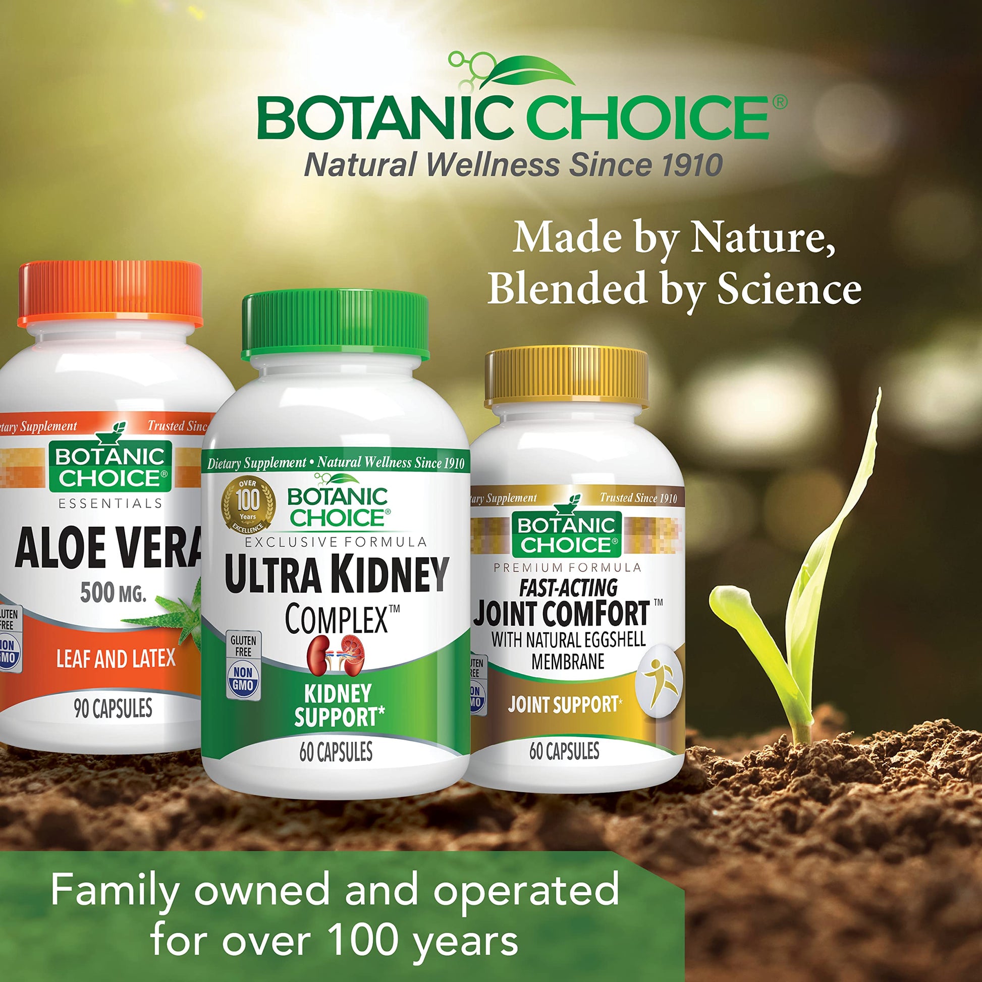 Botanic Choice Ultra Kidney Complex - Optimal Kidney Support with Milk Thistle, Green Tea & More- 60 Capsules Botanic Choice buy supplements canada